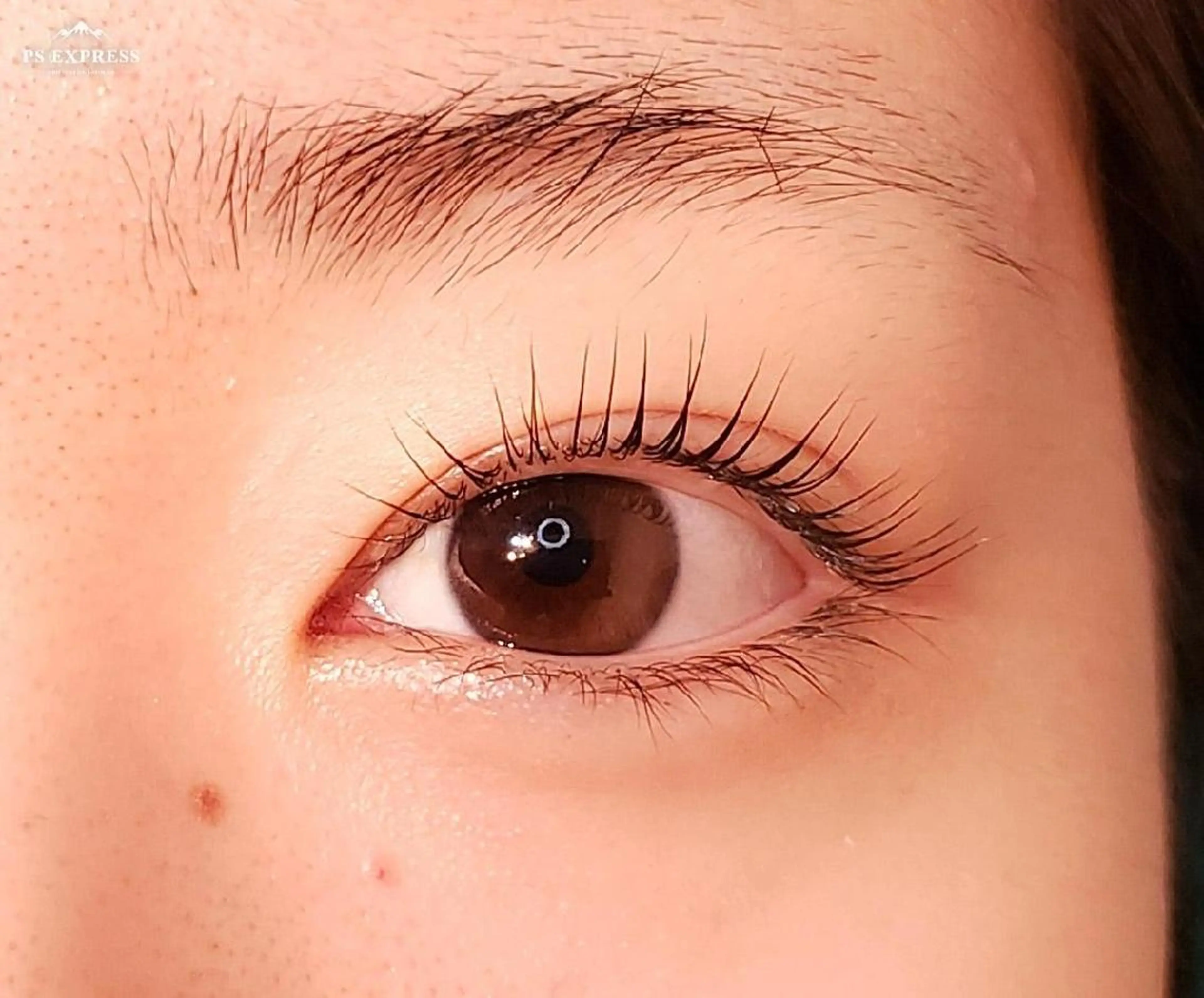 マツエク・マツパ まつげパーマ アイラッシュ コペル【Copel】所属・個室サロンcopel 　kishimotoのマツエク・マツパデザイン