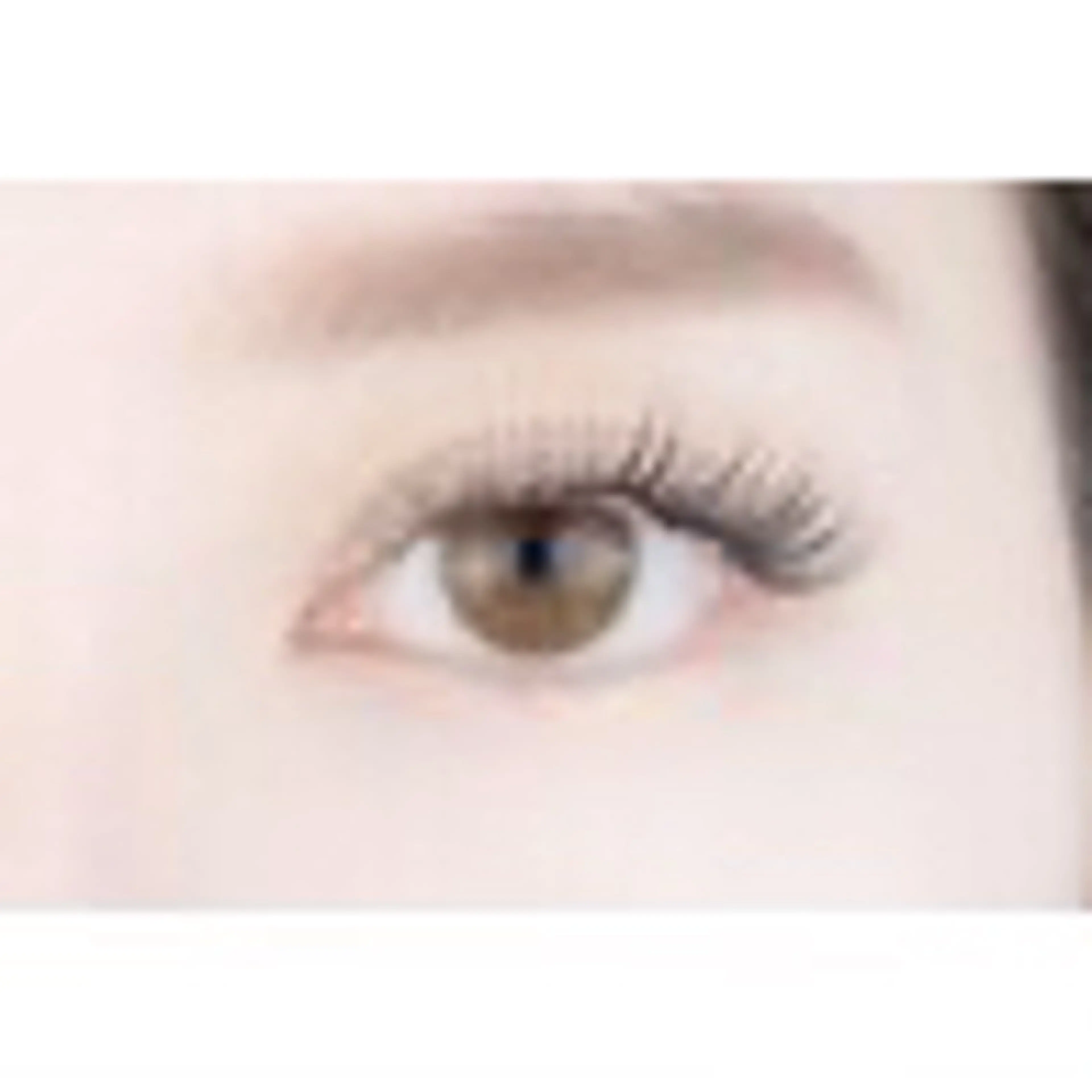 当日限定★オフなし最上質セーブル100本※10分前来必須の写真