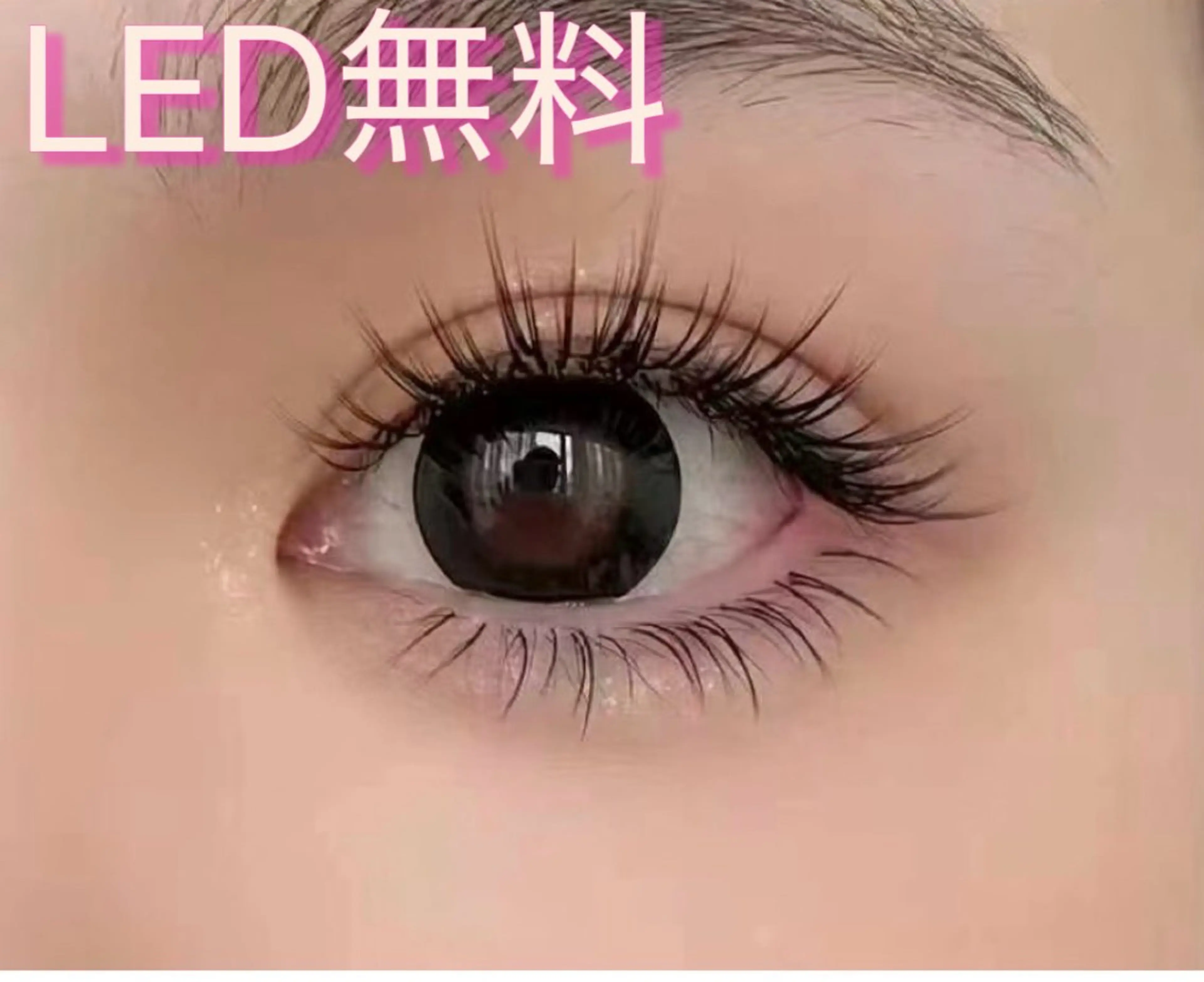 【束感ワンホンデザイン】120束の写真