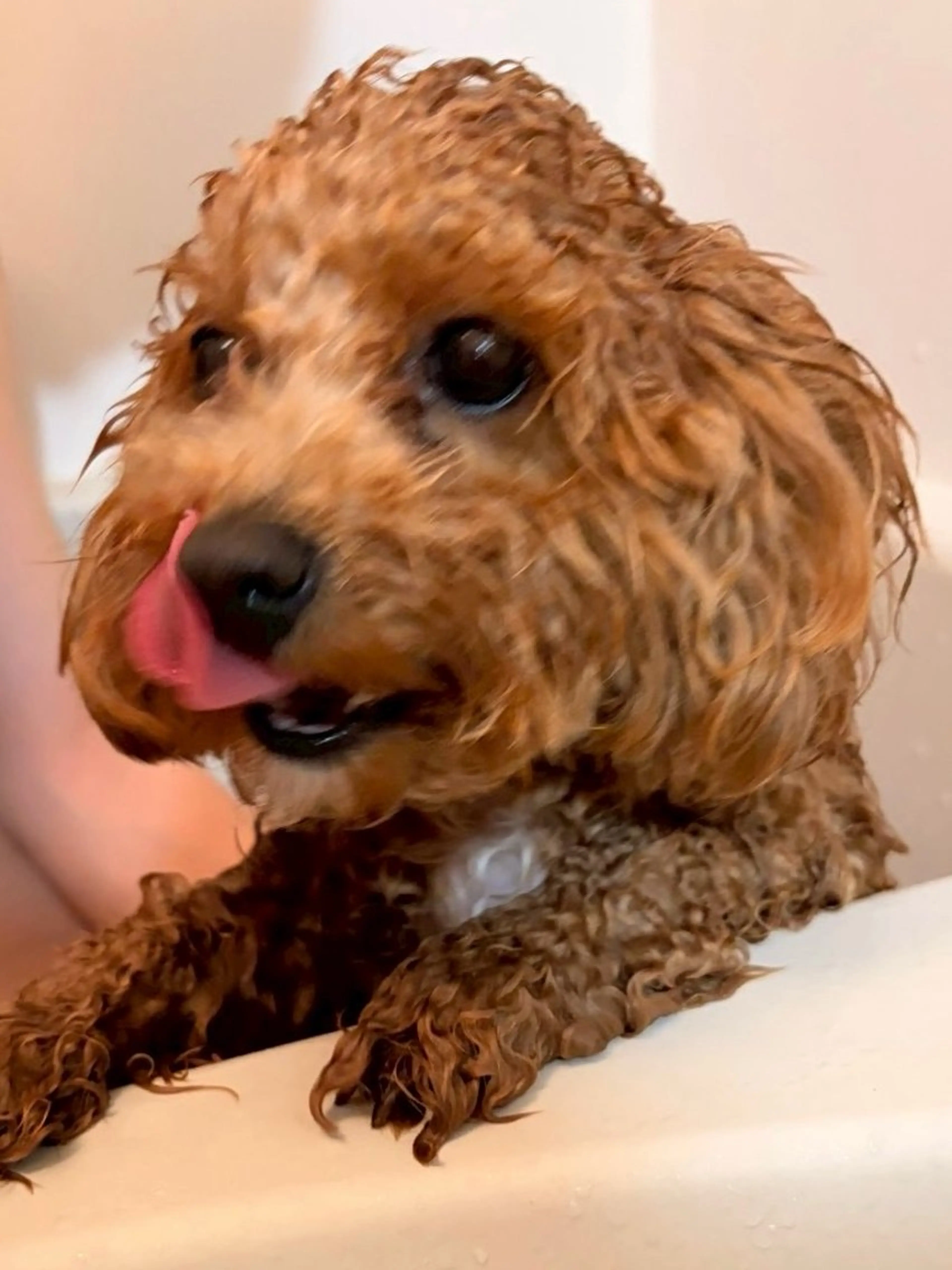 パーマ ワックス脱毛 眉カット etora所属・✨etora 池袋店✨のマツエク・マツパデザイン