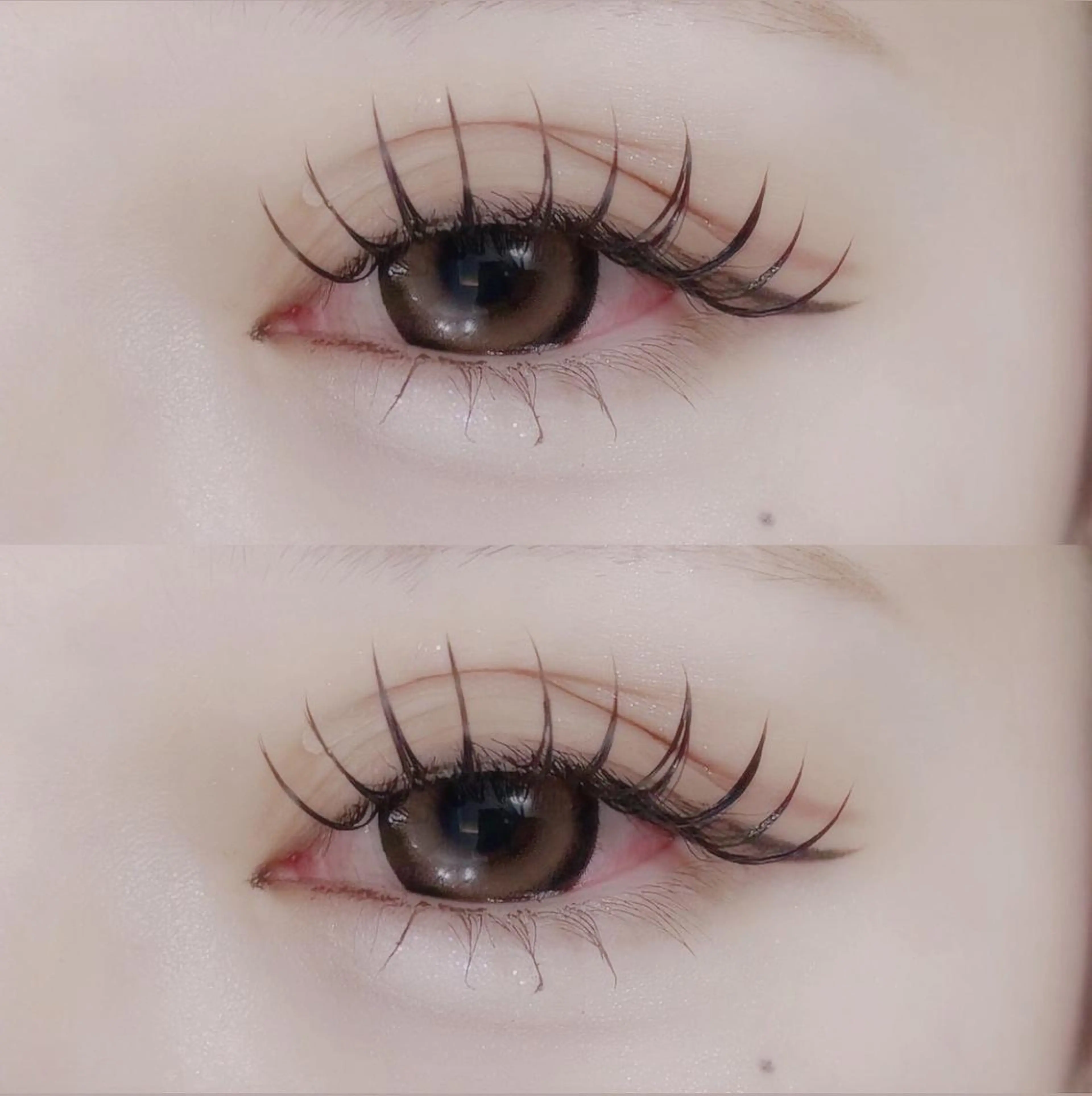 【☆華やかで持続力抜群☆⠀】⚡️バインドロック⚡️or🌟ダブルフラット🌟100束！🖤韓国束感仕上げ🖤の写真