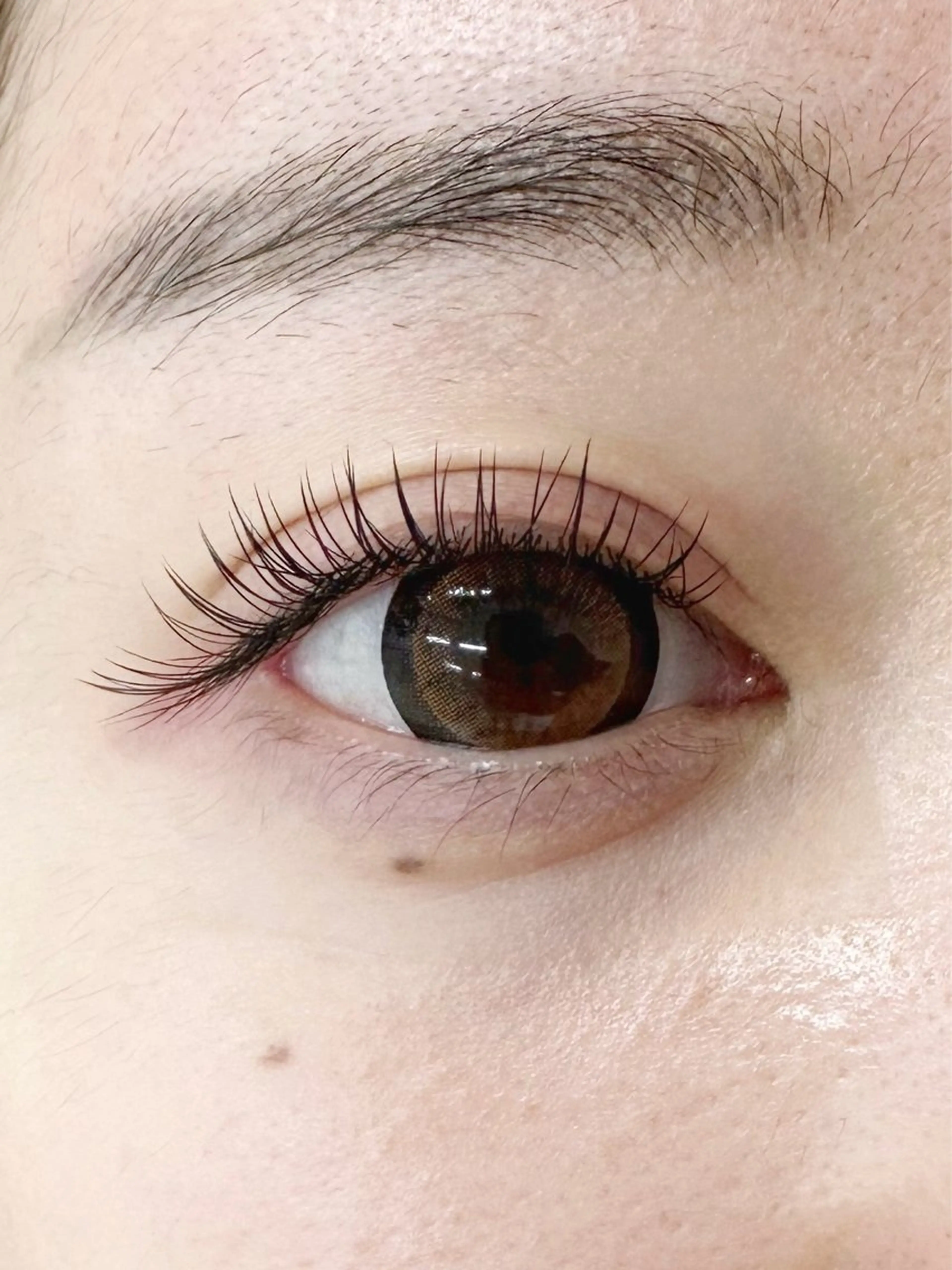 マツエク・マツパ フラットラッシュ utari matsuge所属・utari matsugeのマツエク・マツパデザイン