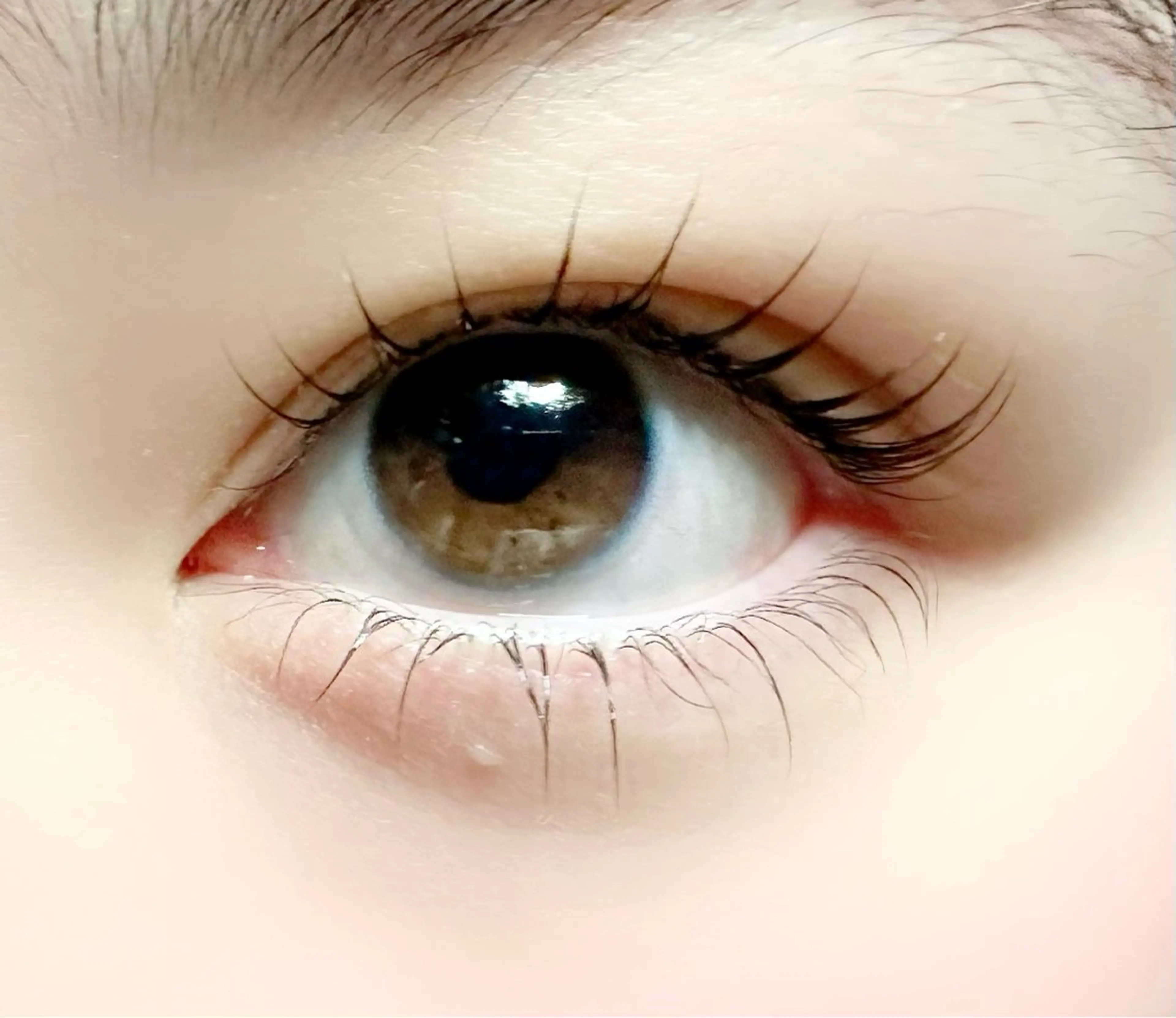 🦩メーテルラッシュリフト🦩　　　　　　　　　　　　　✨束感コーティング付き✨の写真