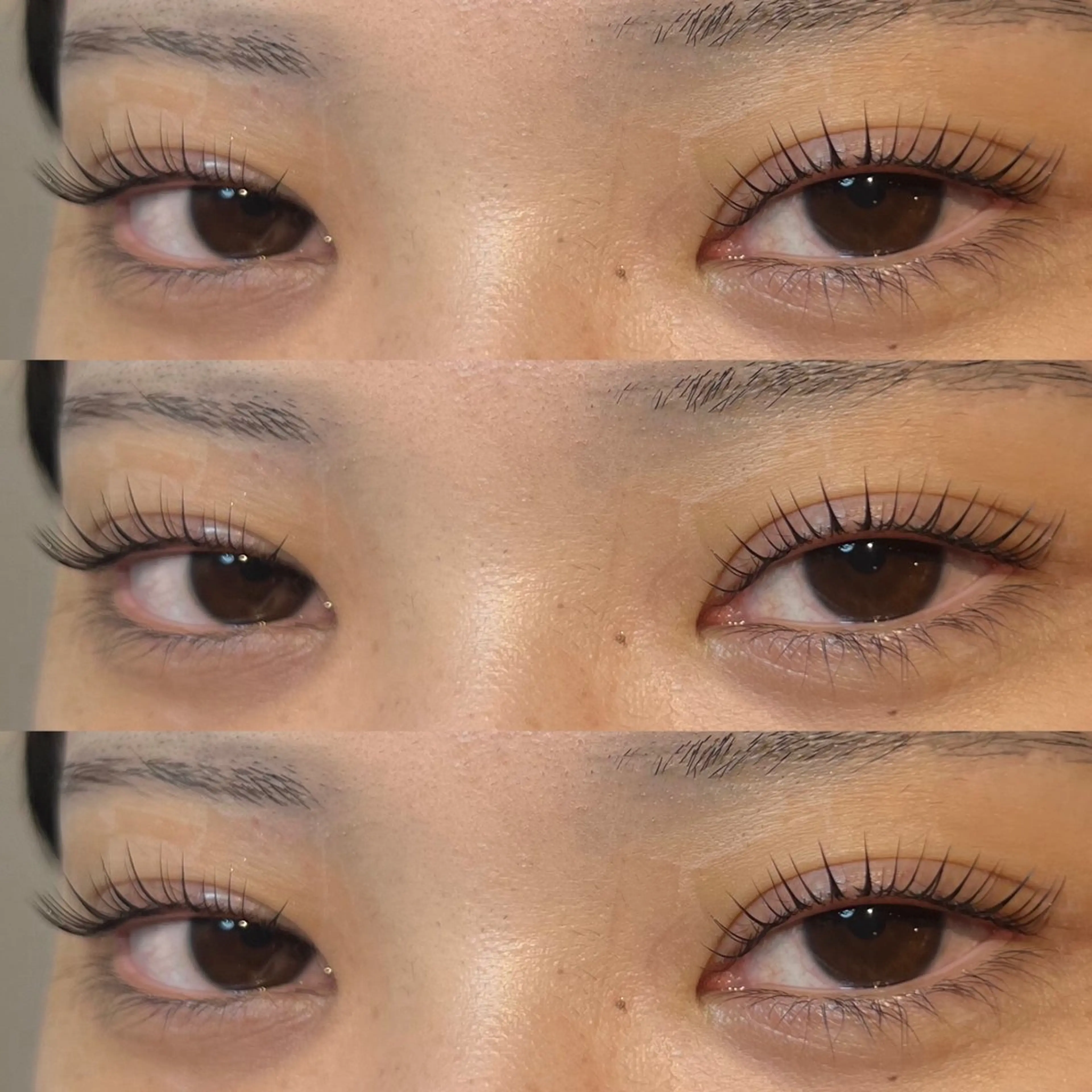 ☆再来☆ ≪パリジェンヌラッシュリフト+コーティング仕上げ付き≫の写真