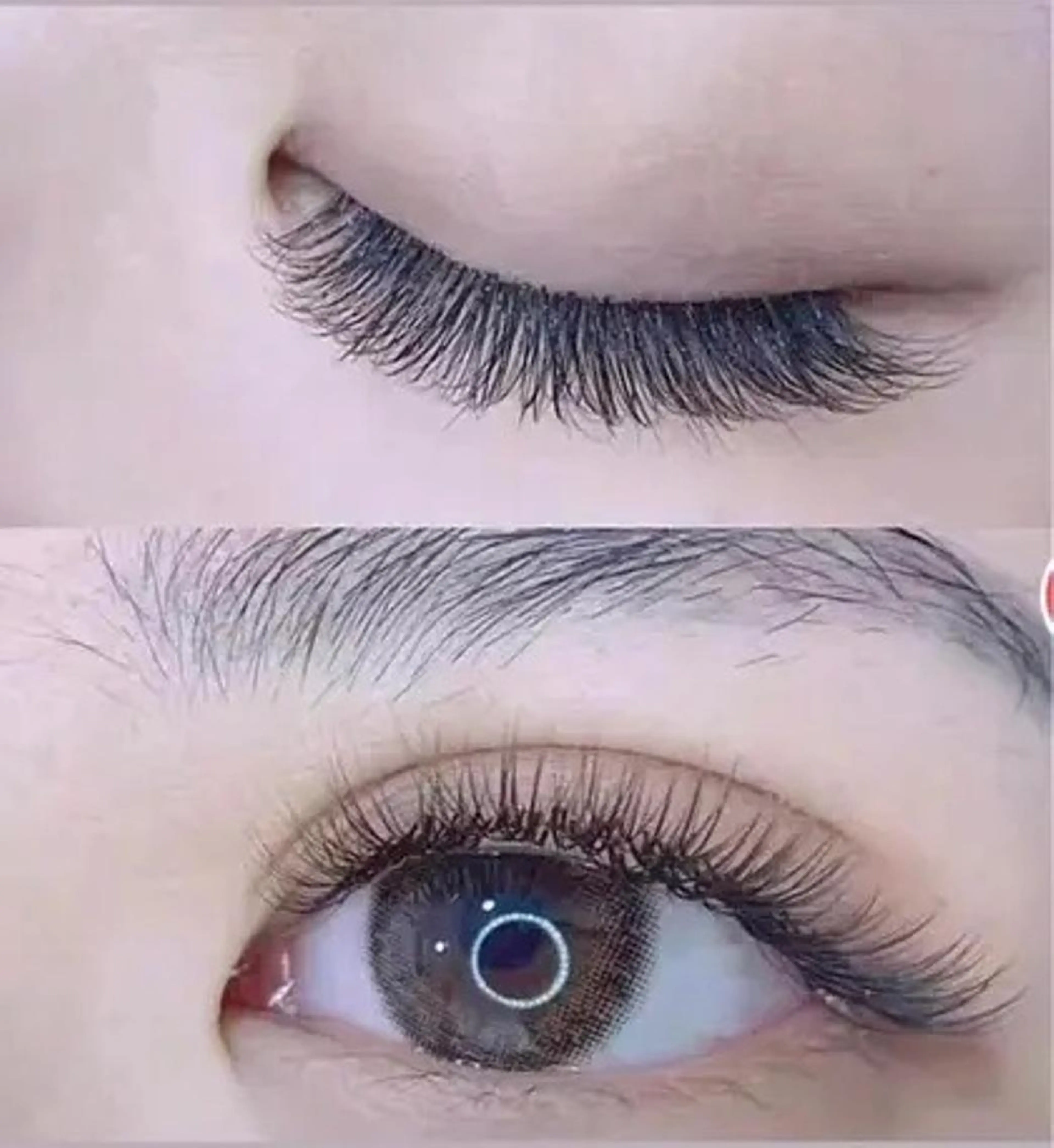 💕年末年始セール限定💞❣️フラットラッシュ100本​まで❗️💕土日㊗💕＋500円🙇の写真