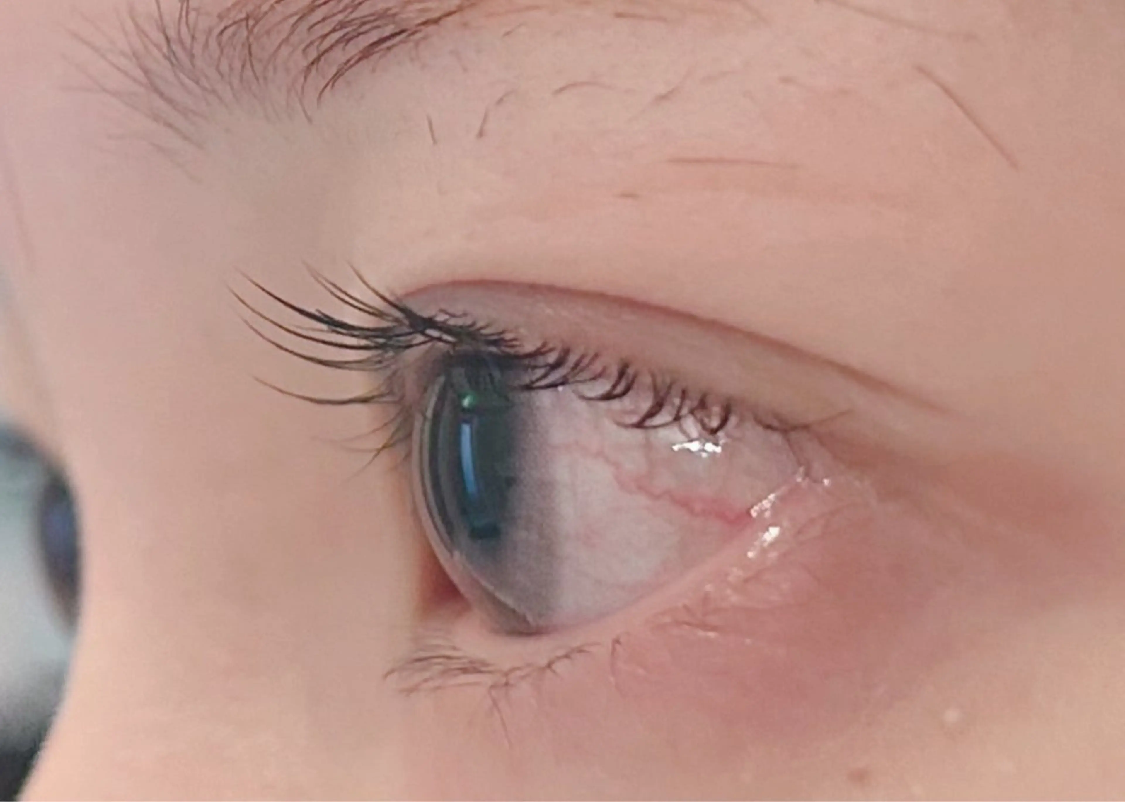 マツエク・マツパ Relyna Eyelash Salon所属・河原 里恵のマツエク・マツパデザイン