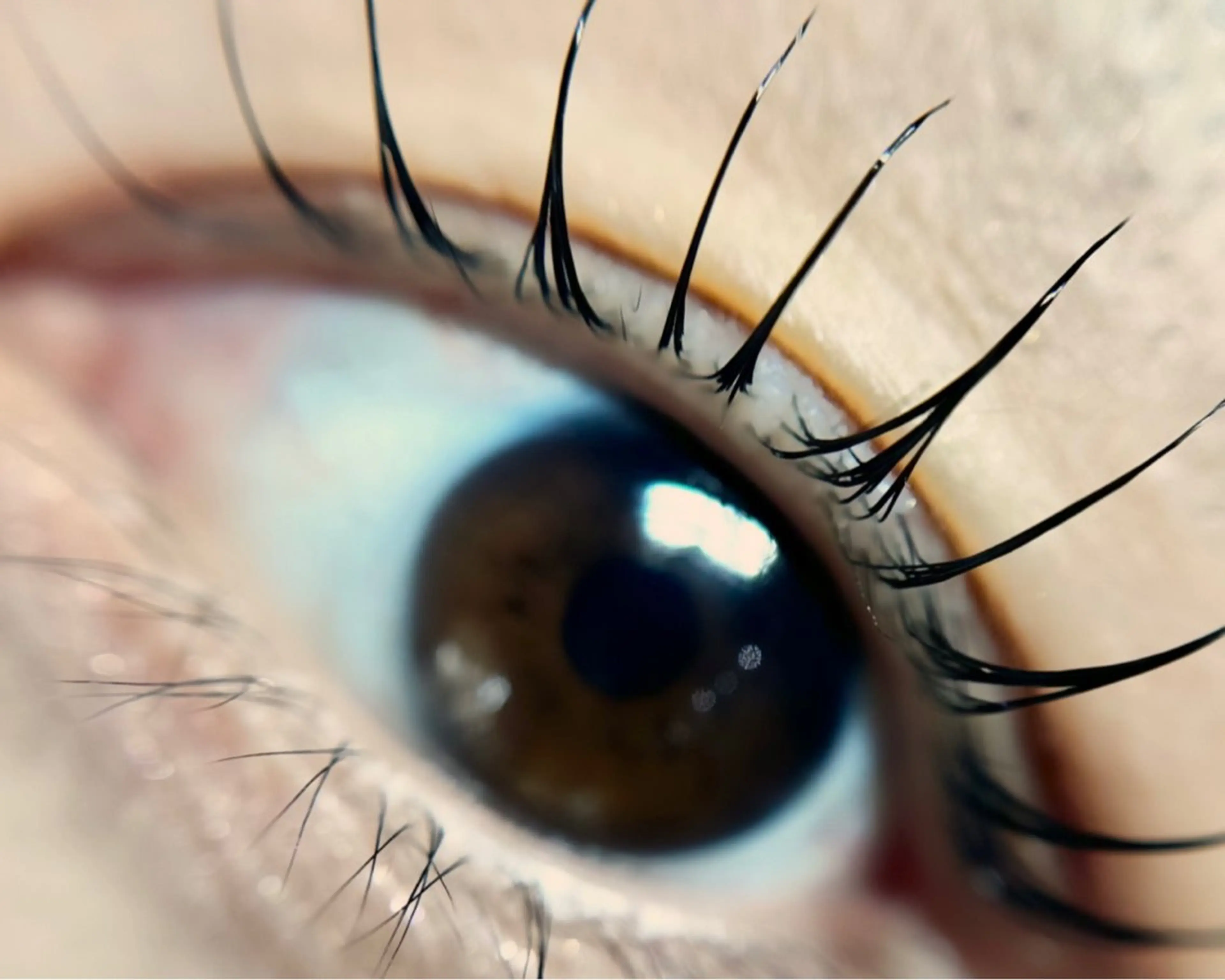 マツエク・マツパ マツパ komatsu eyelash恵比寿のマツエク・マツパデザイン