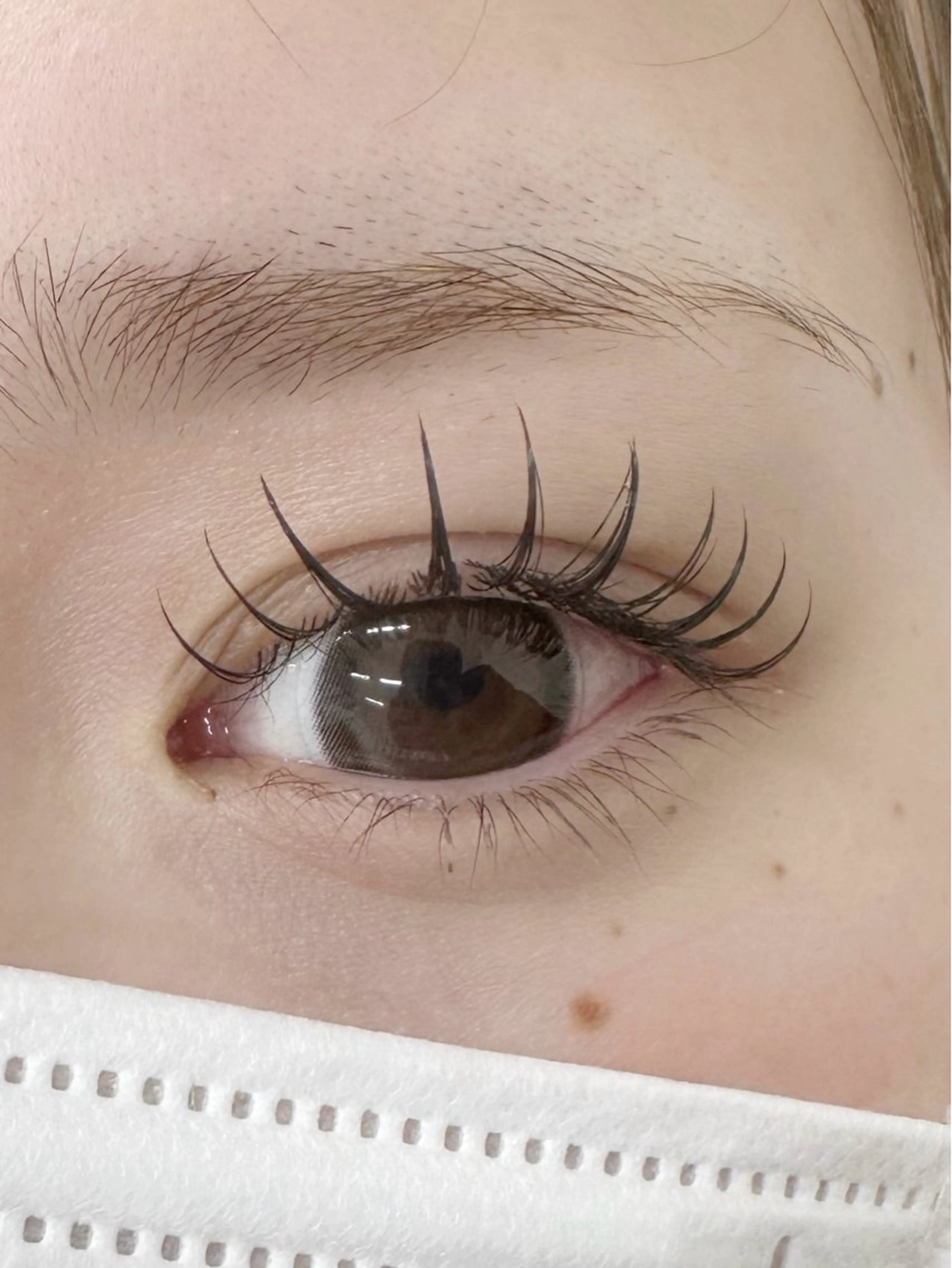 マツエク・マツパ フラットラッシュ utari matsuge所属・utari matsugeのマツエク・マツパデザイン