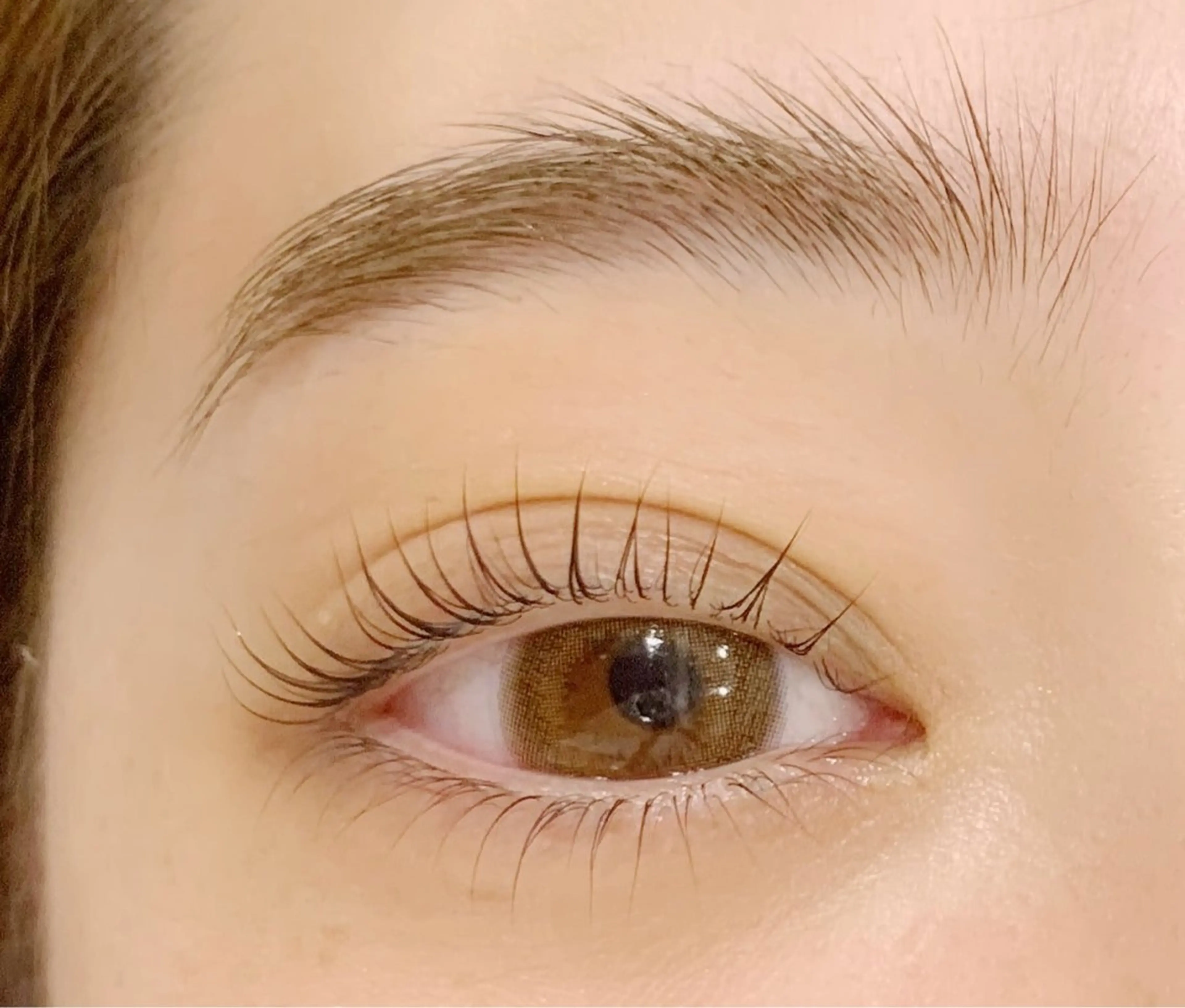 《中顔面短縮》上下ラッシュリフト(まつ毛パーマ) +美容液コーティング付き𓅸𓄳の写真