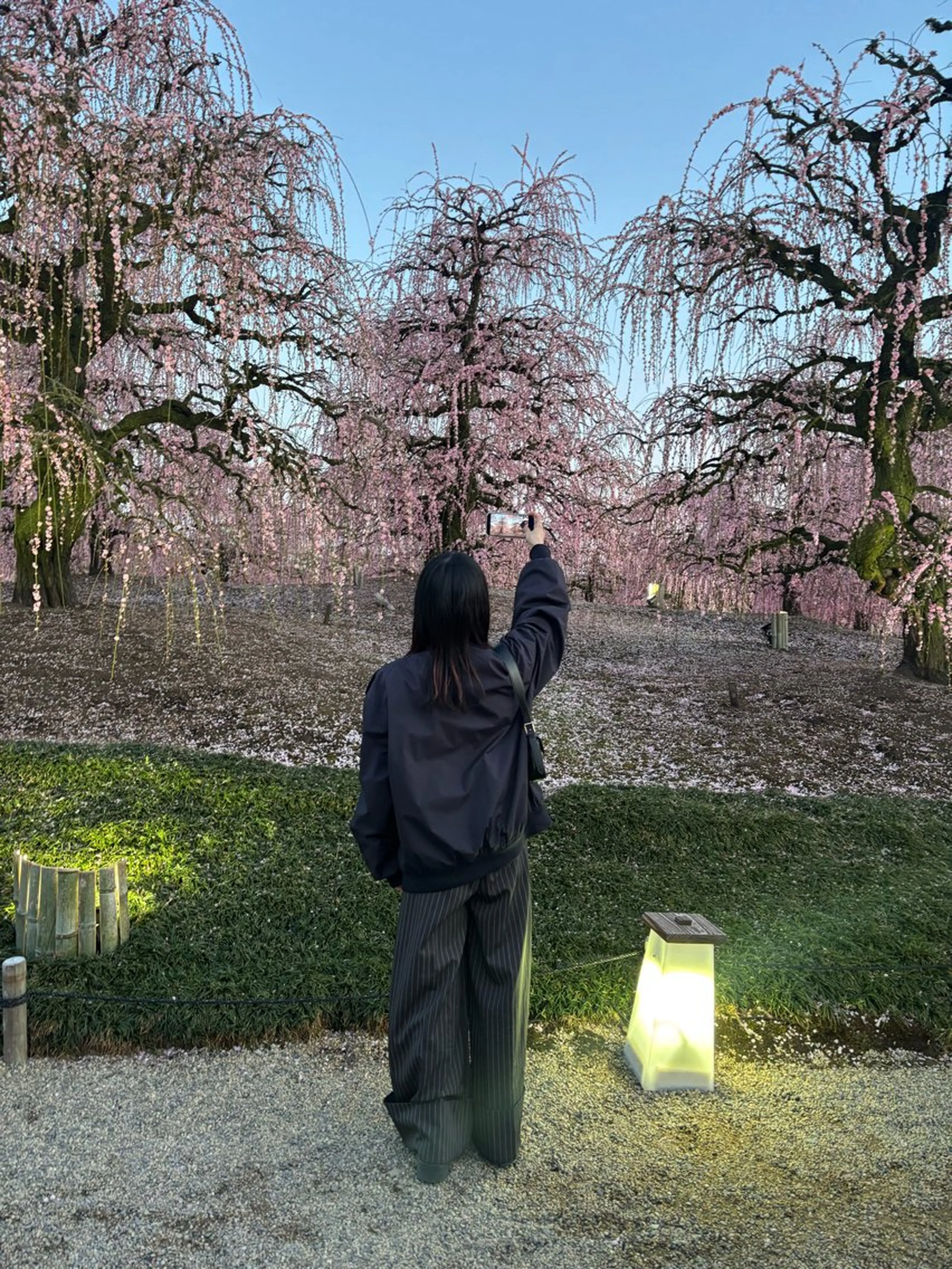 💞暖色艶カラー/ ホウツキカナ🍒のヘアスタイル