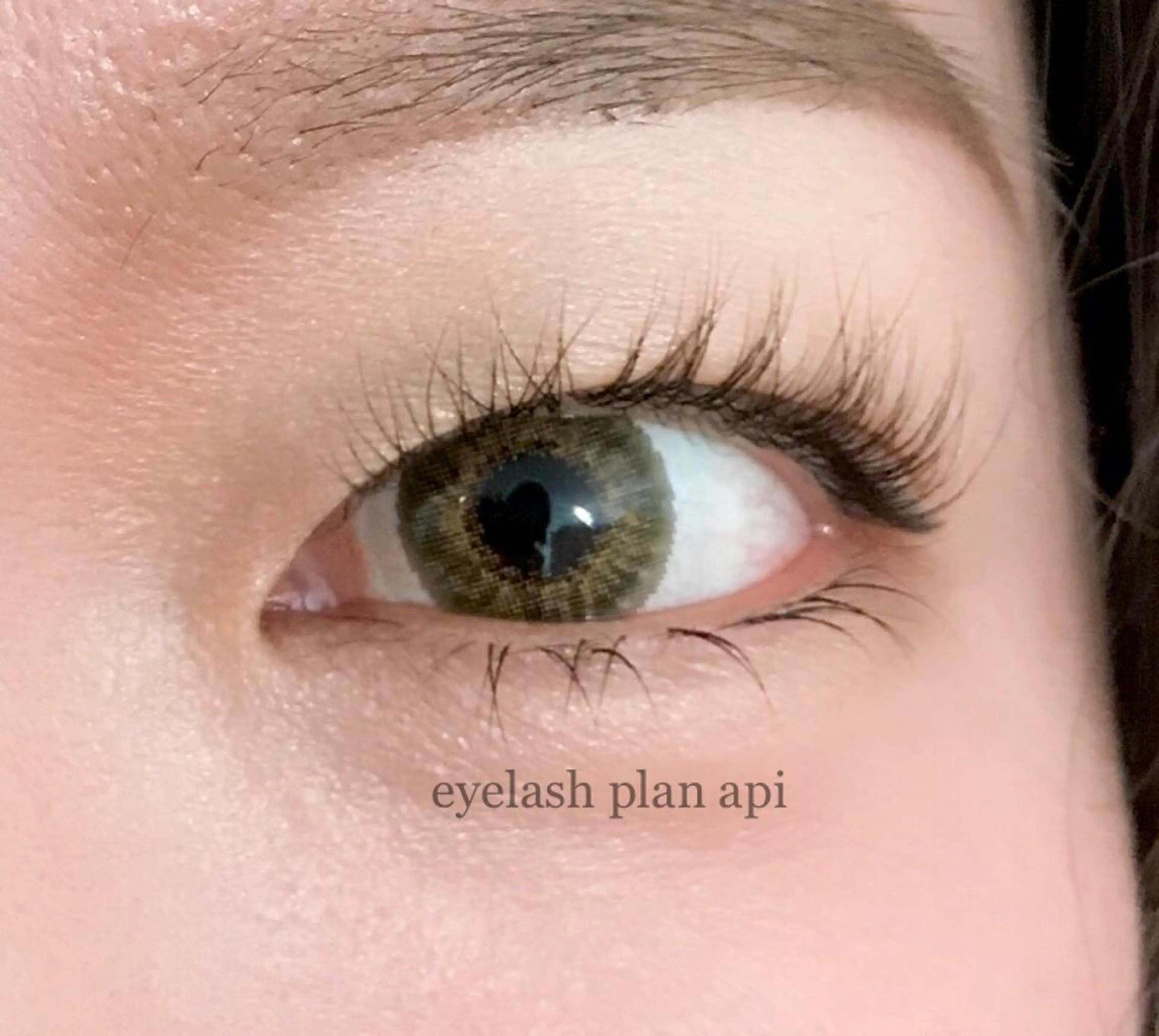 マツエク・マツパ パリジェンヌラッシュリフト 《eyelash ｉｉｔｅ》森のマツエク・マツパデザイン