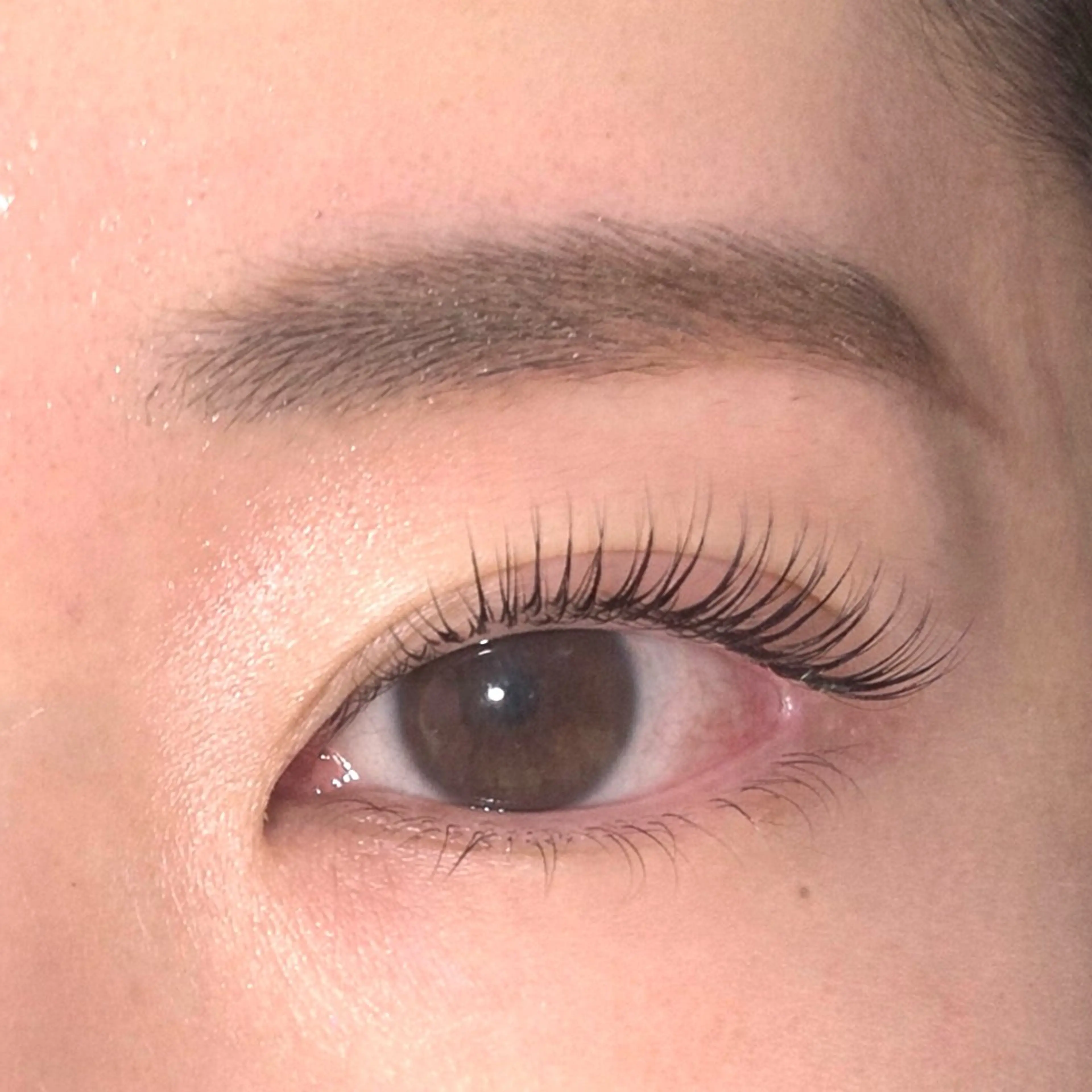 🌟まつ毛パーマ➕眉毛WAXの写真