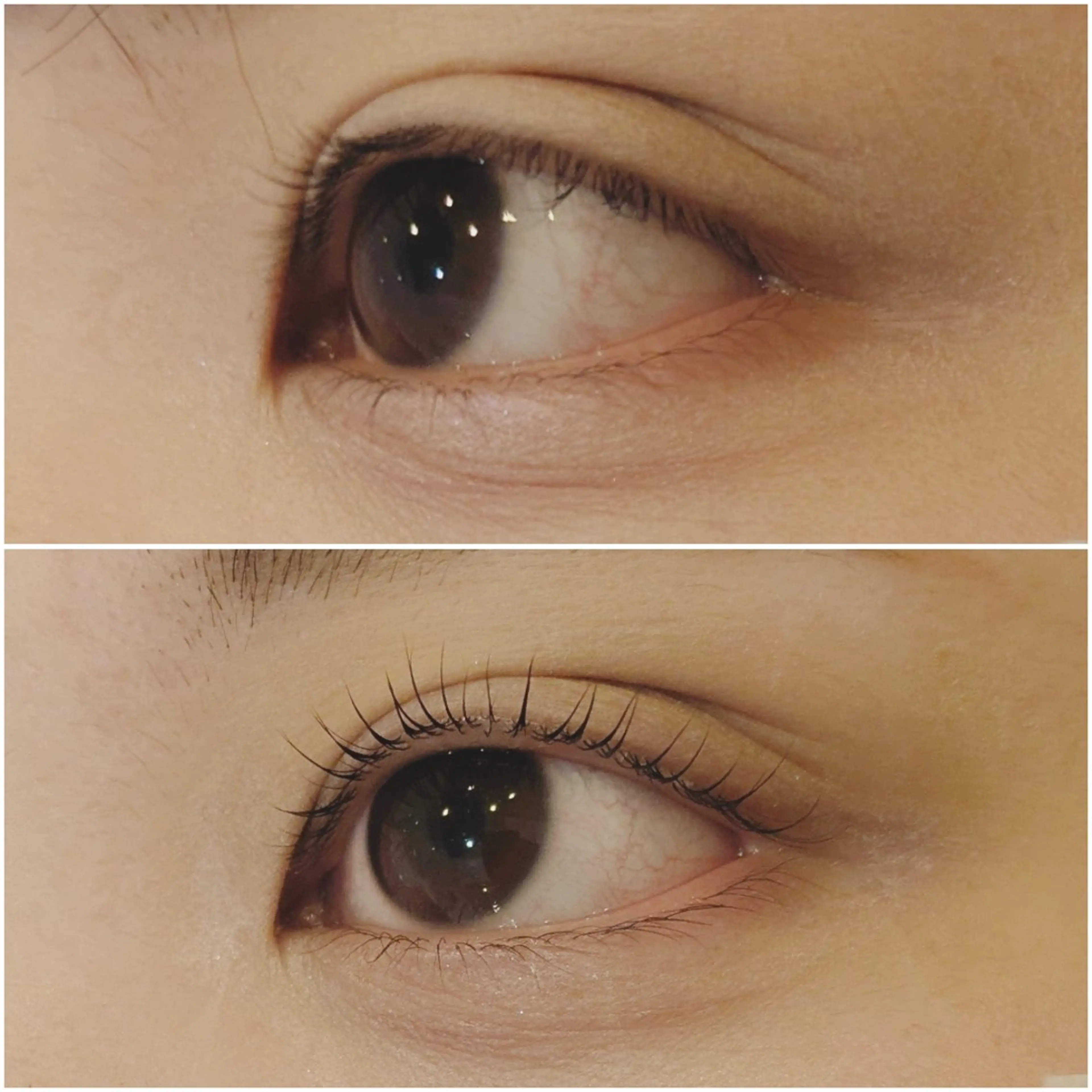 マツエク・マツパ 一重×まつ毛パーマ 【泉中央】CLASS 中村のマツエク・マツパデザイン