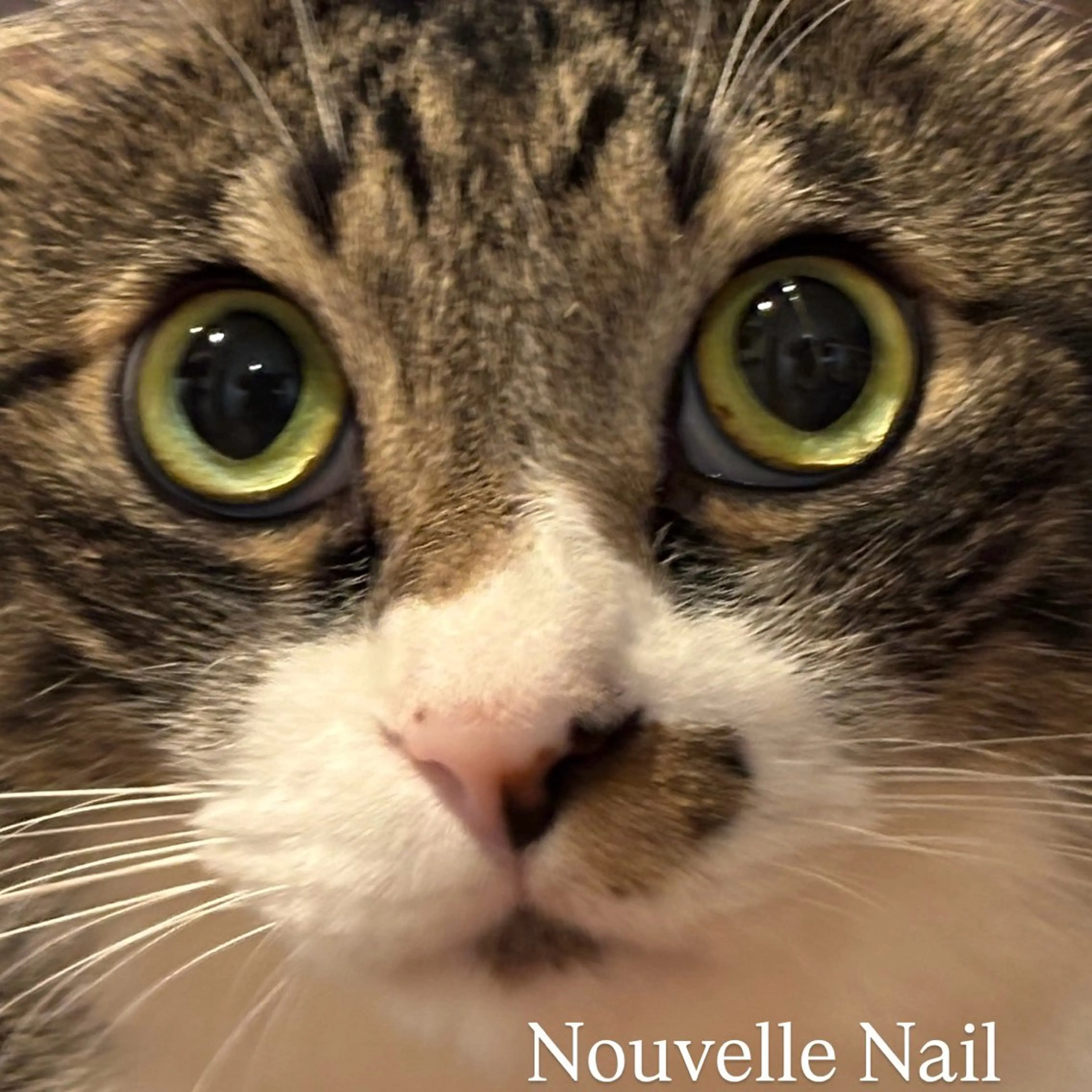 Nouvelle Nailのネイルデザイン