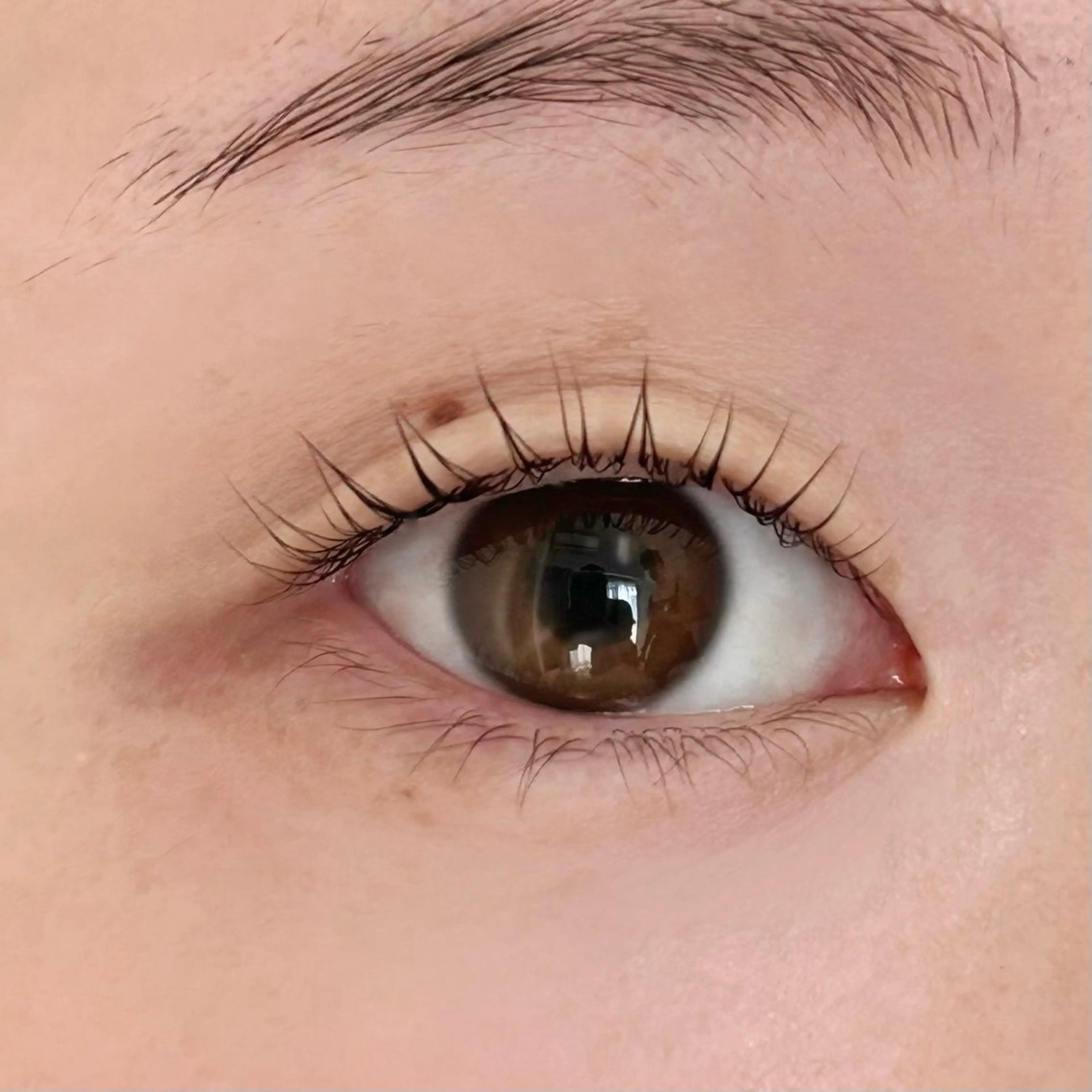 マツエク・マツパ ロレインブロウ 二俣川店所属・ロレインブロウ 二俣川店のマツエク・マツパデザイン