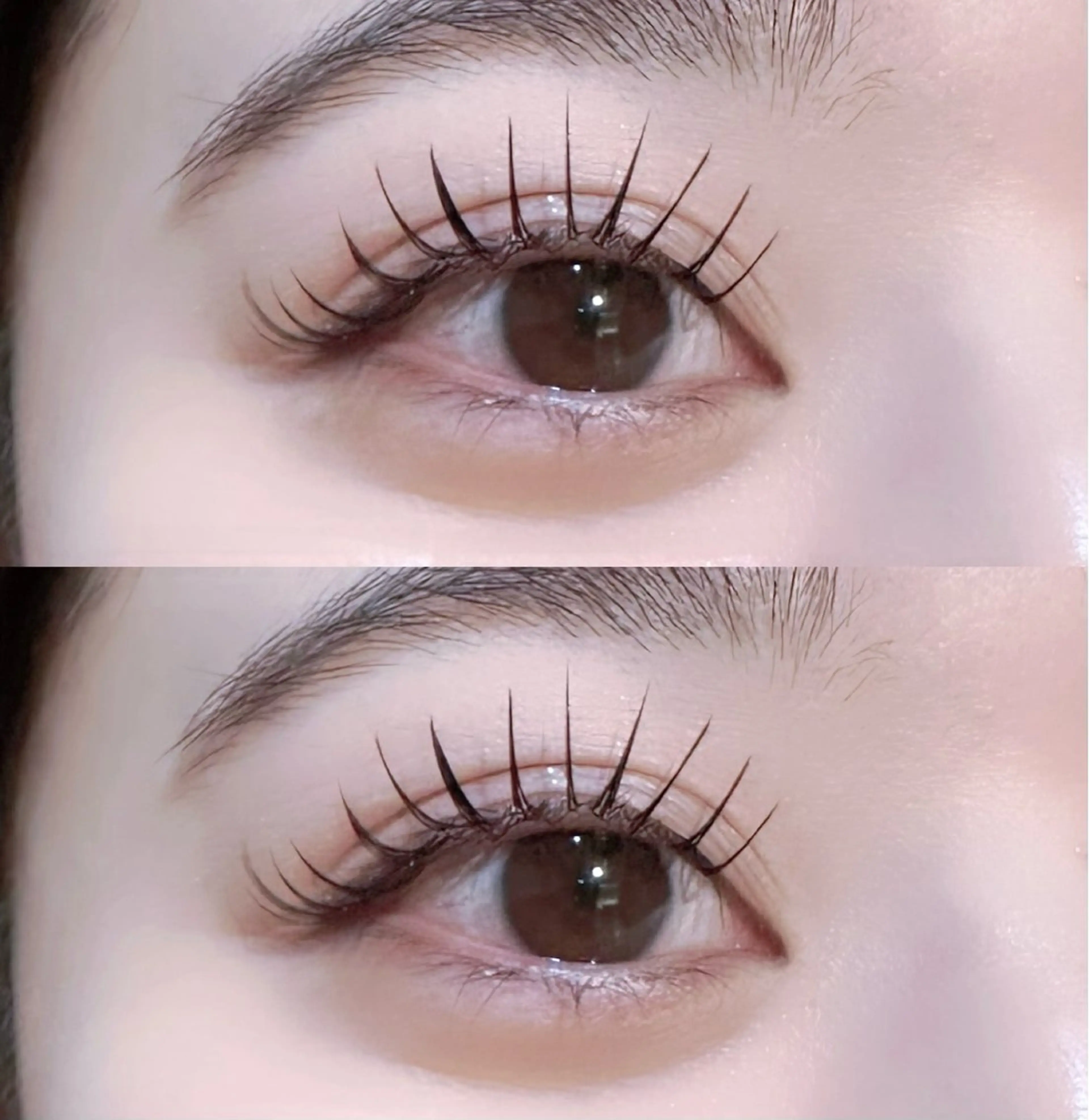 【🐼平日限定🐼】マツエクつけ放題(オフなし〜140本/オフあり〜120本)ブラウンカラー変更可◎の写真