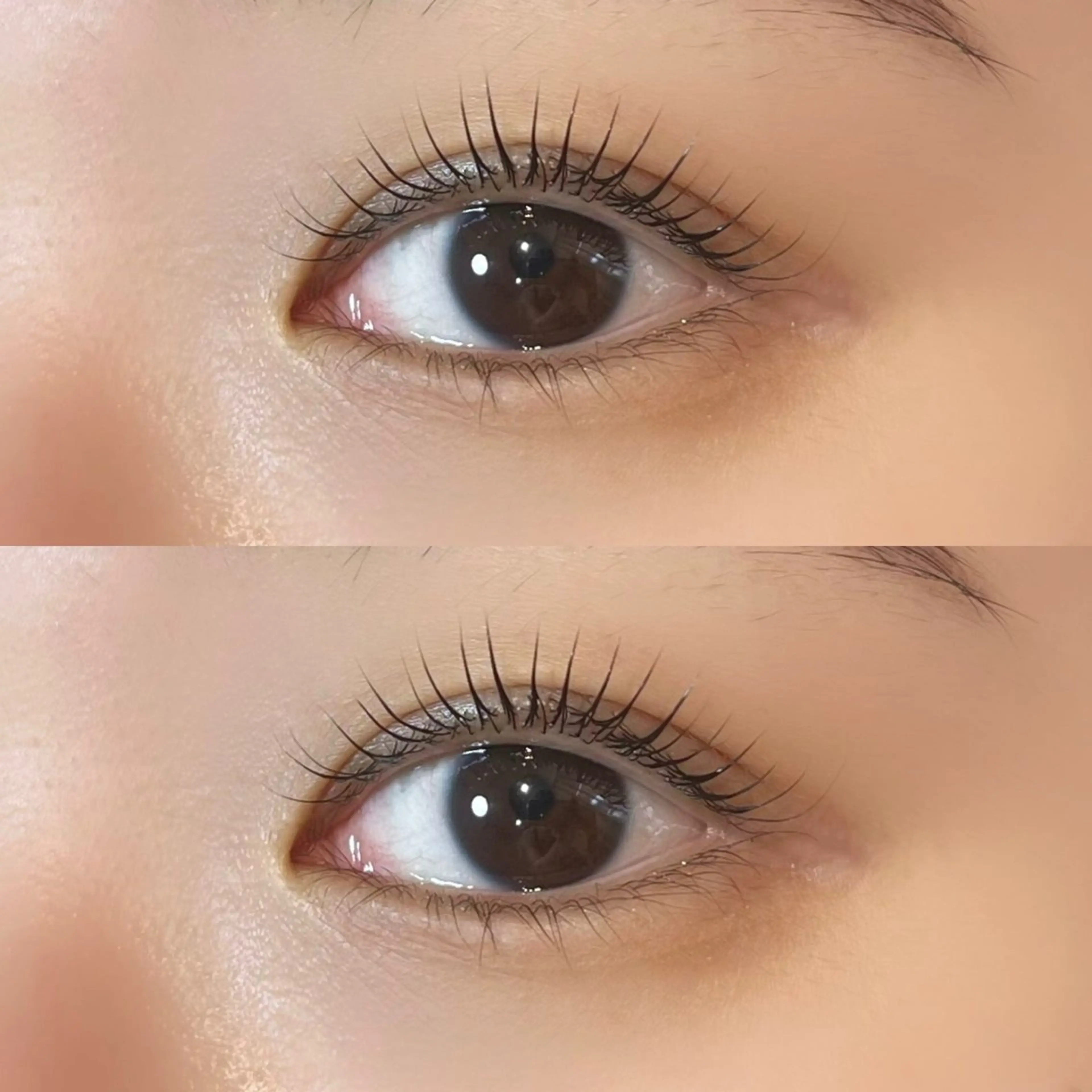 マツエク・マツパ 𝒆𝒊𝒈𝒉𝒕 杏花のマツエク・マツパデザイン