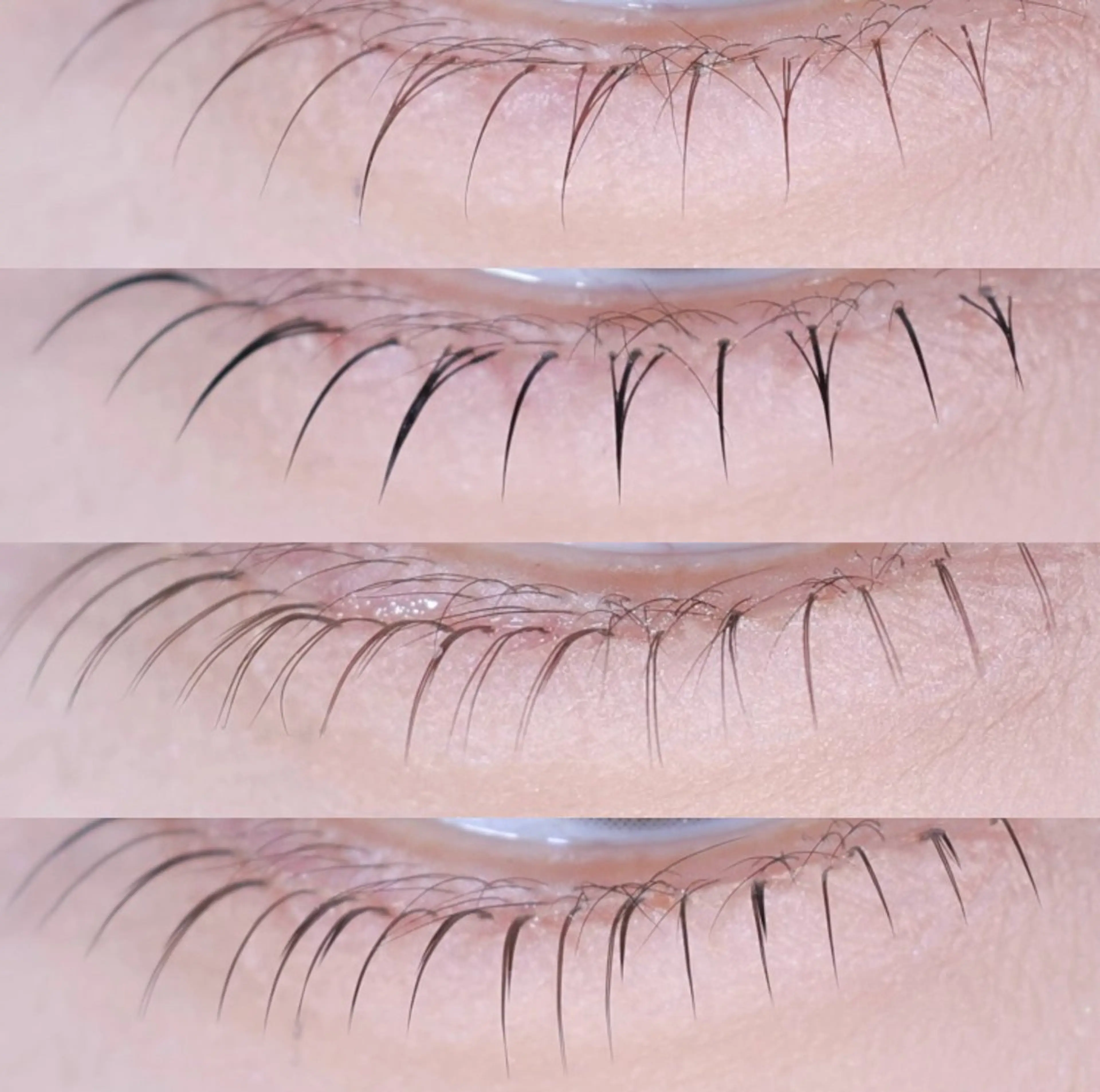 マツエク・マツパ マツエク Y YUKIのマツエク・マツパデザイン