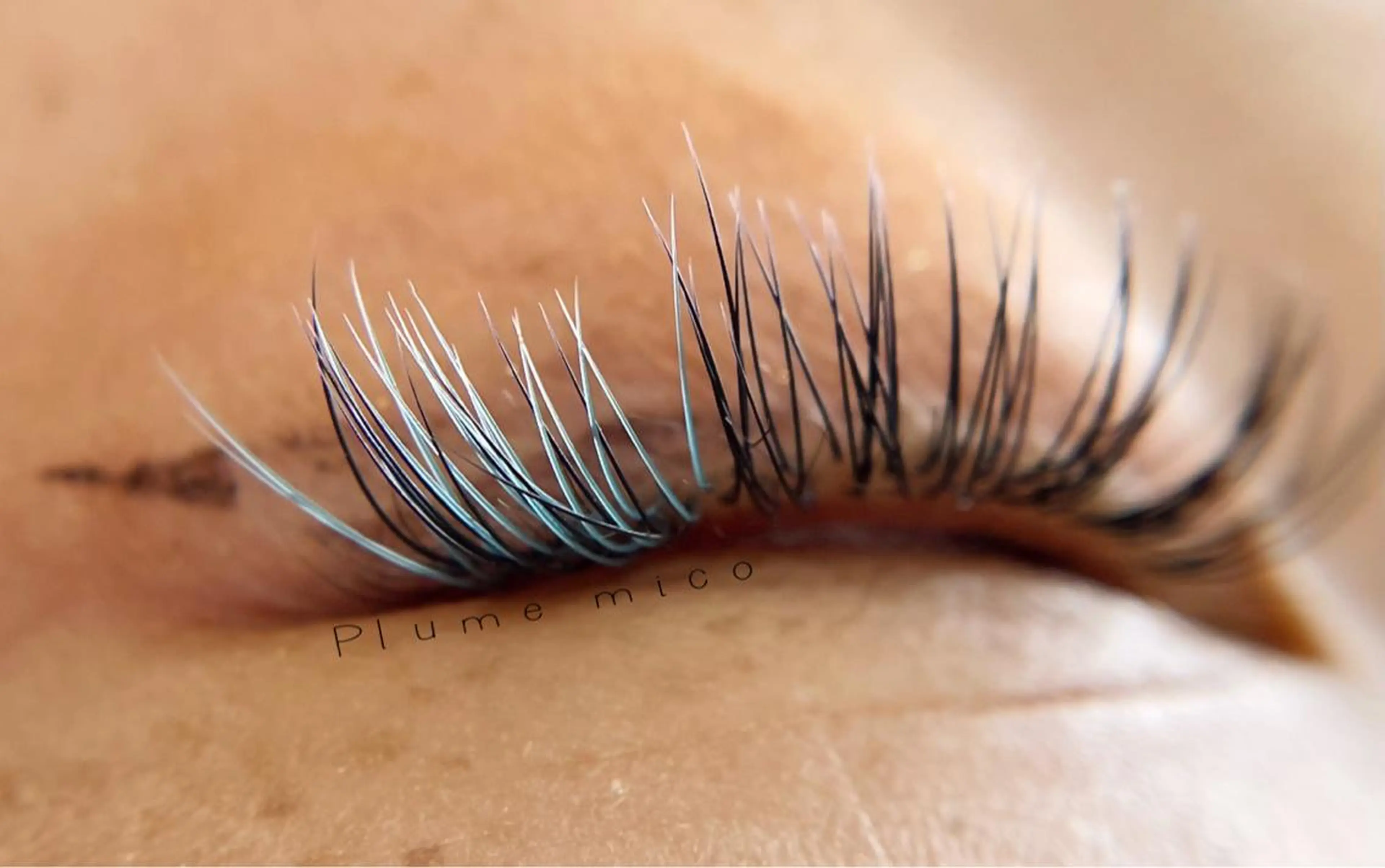 マツエク・マツパ マツエク Plume micoのマツエク・マツパデザイン