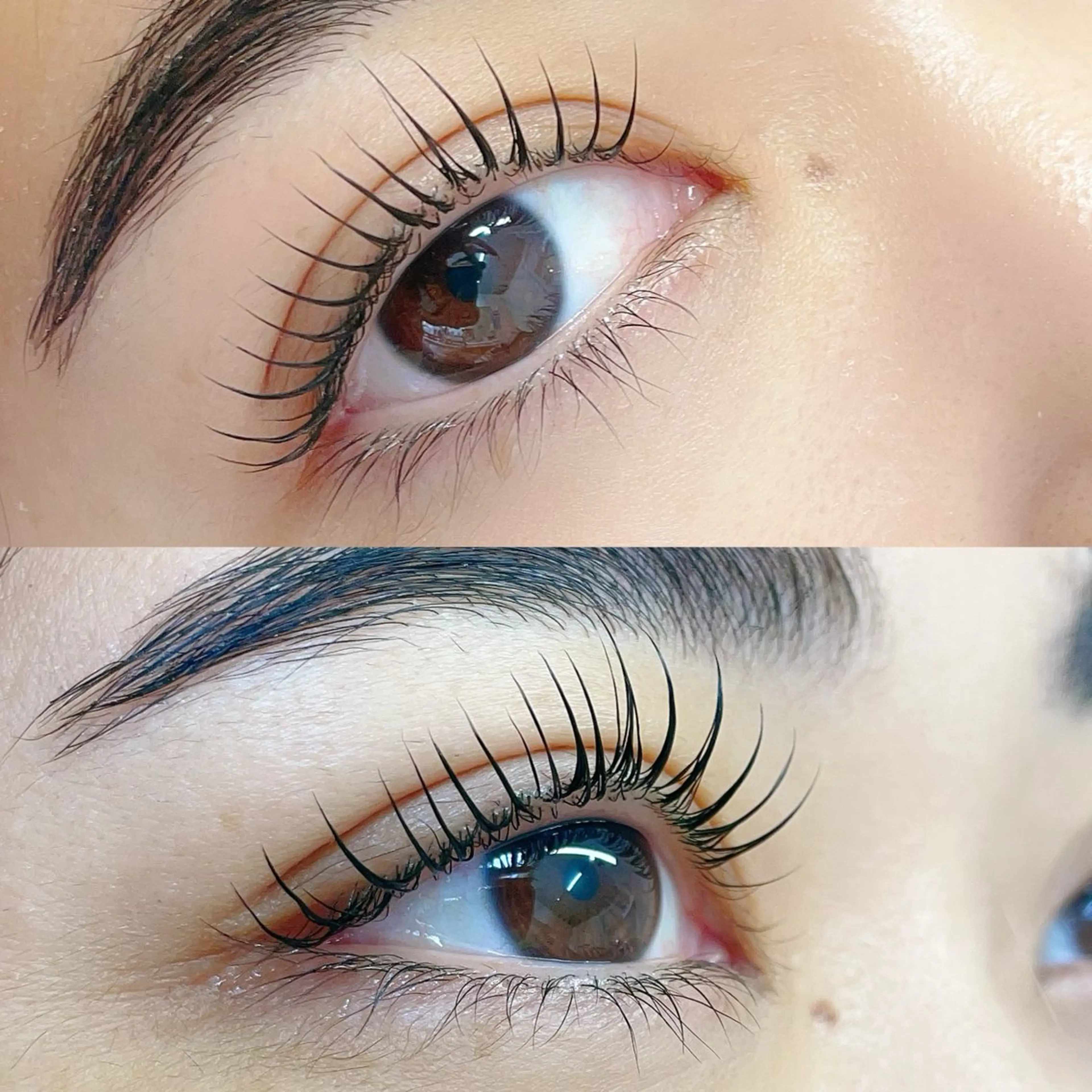 🆕話題のエクパー✨LEDカラーフラットラッシュ100本+束感まつげカールの写真