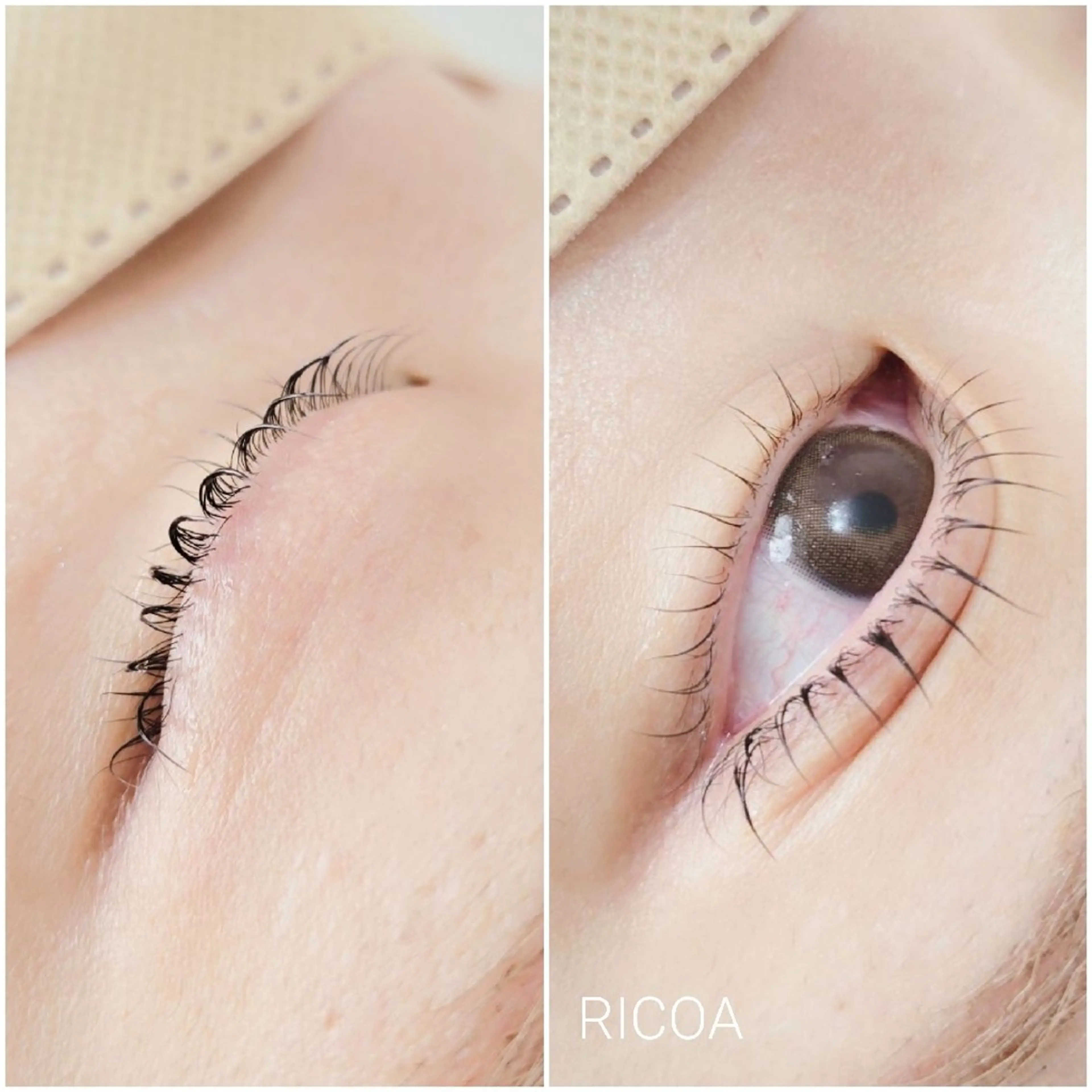マツエク・マツパ 下まつげエクステ 一重×まつ毛パーマ マツパ RICOA 酒井のマツエク・マツパデザイン