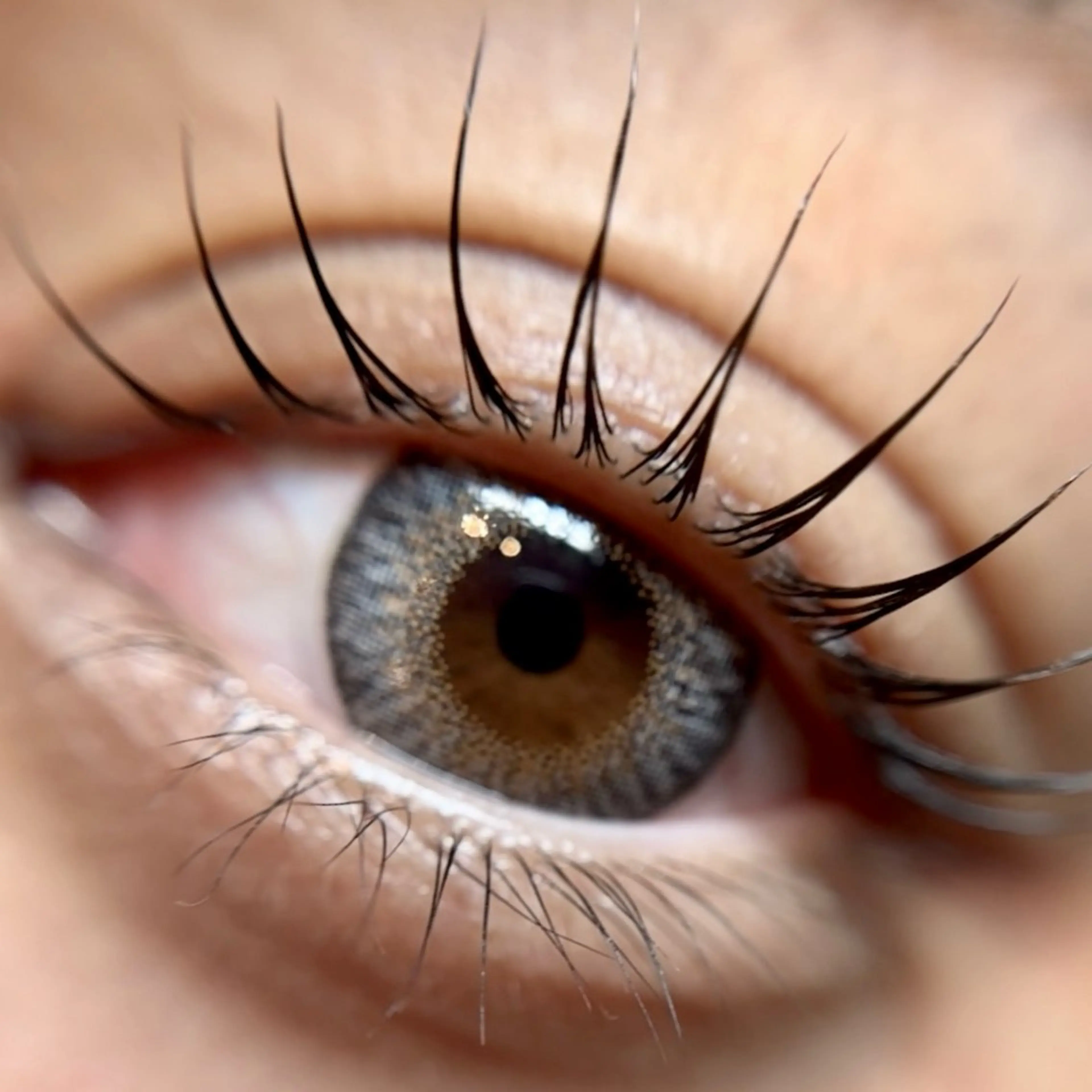 マツエク・マツパ komatsu eyelash恵比寿のマツエク・マツパデザイン