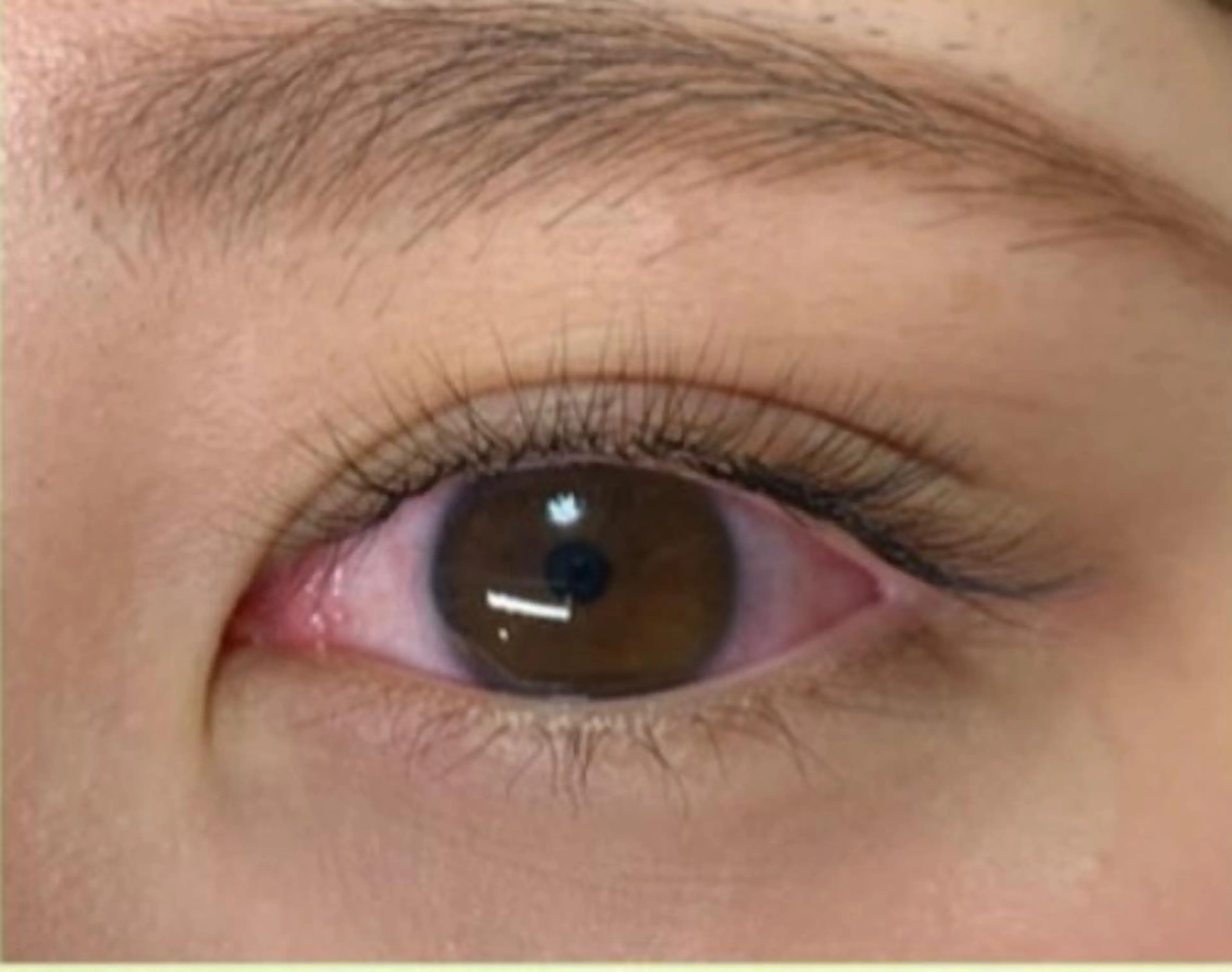 マツエク・マツパ ナチュラル ボリュームラッシュ R'ocoLush 恵比寿店江川のマツエク・マツパデザイン