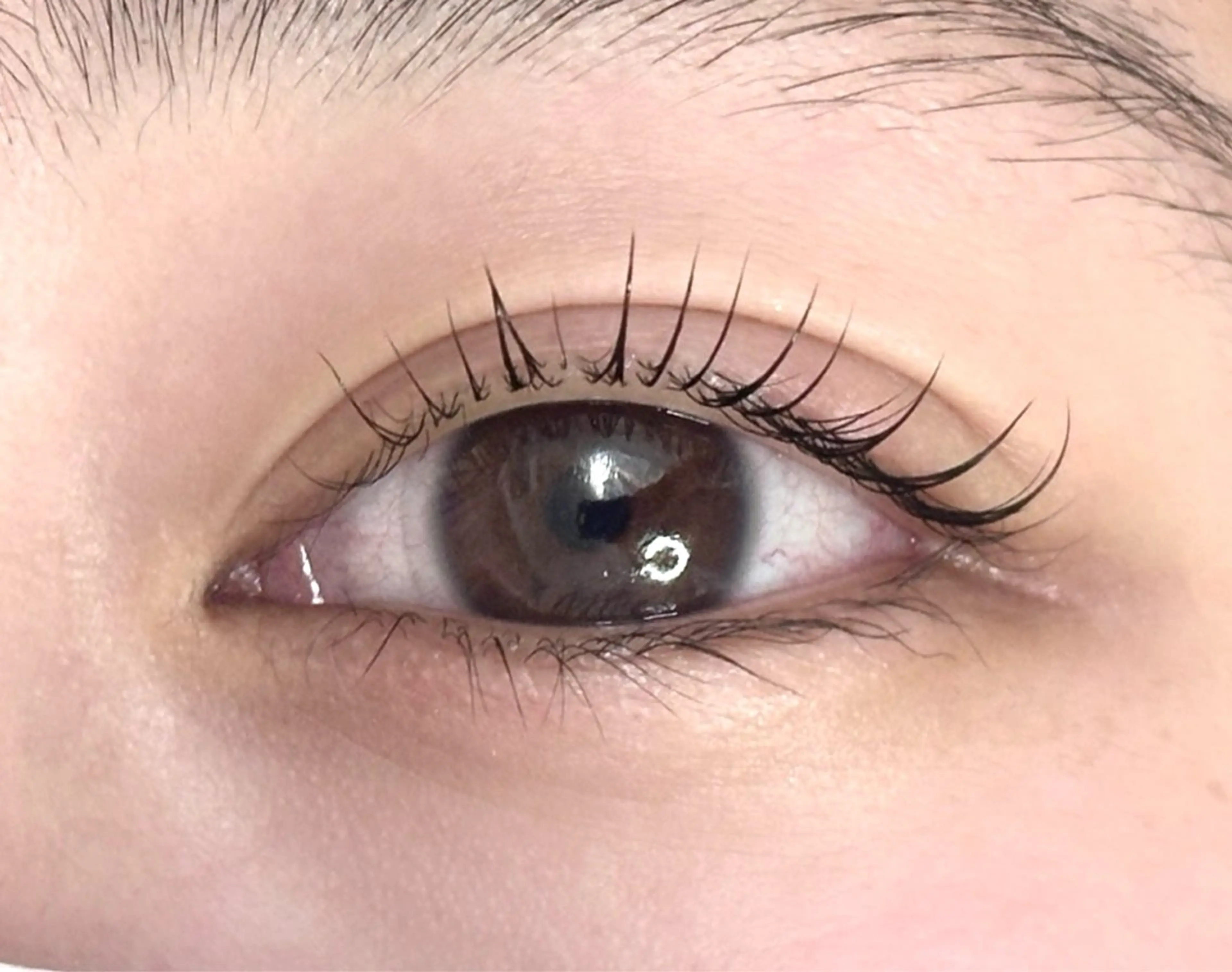 まつげパーマ下🤎の写真