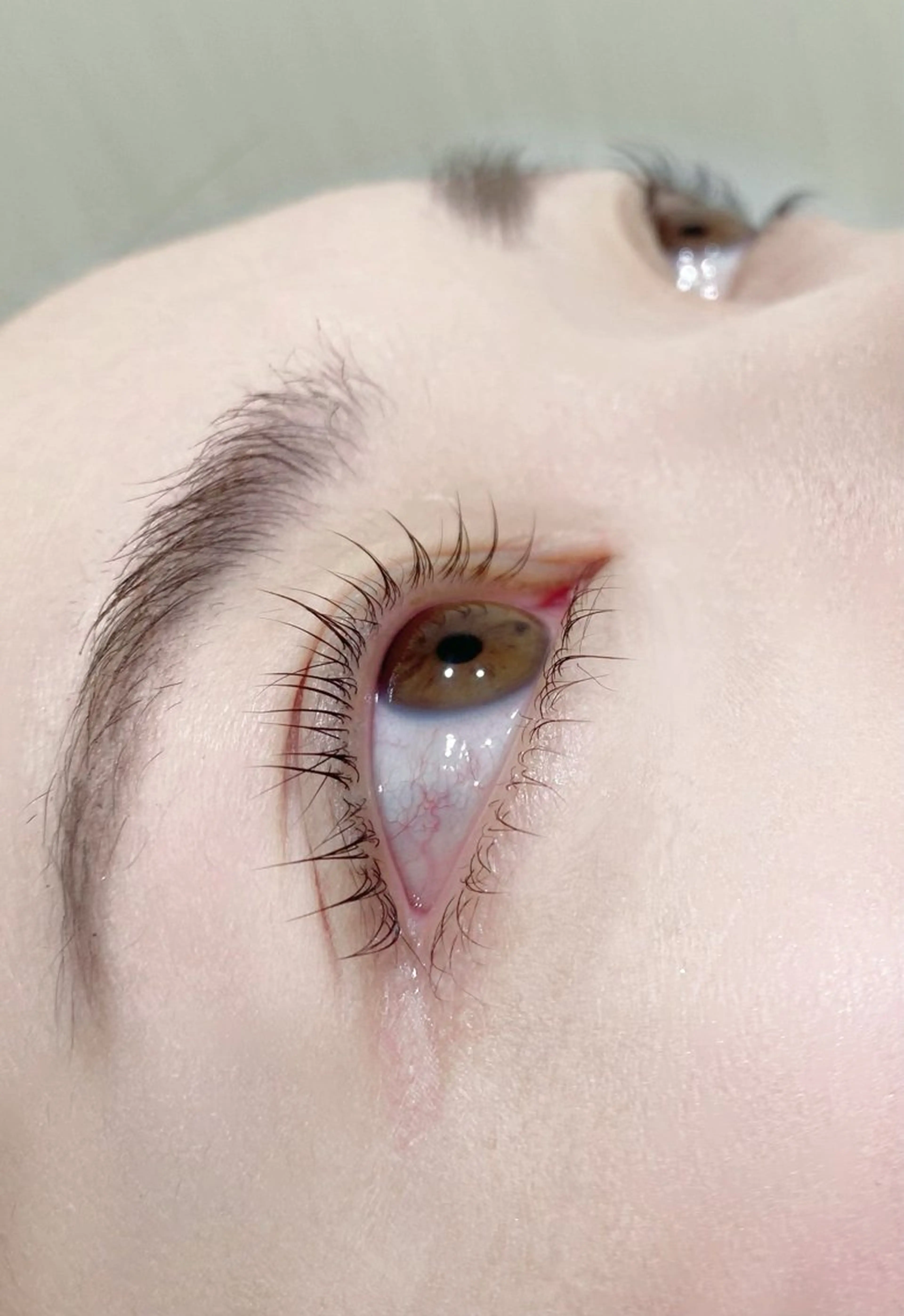 期間限定15%OFF🌟ラッシュリフト🌟の写真