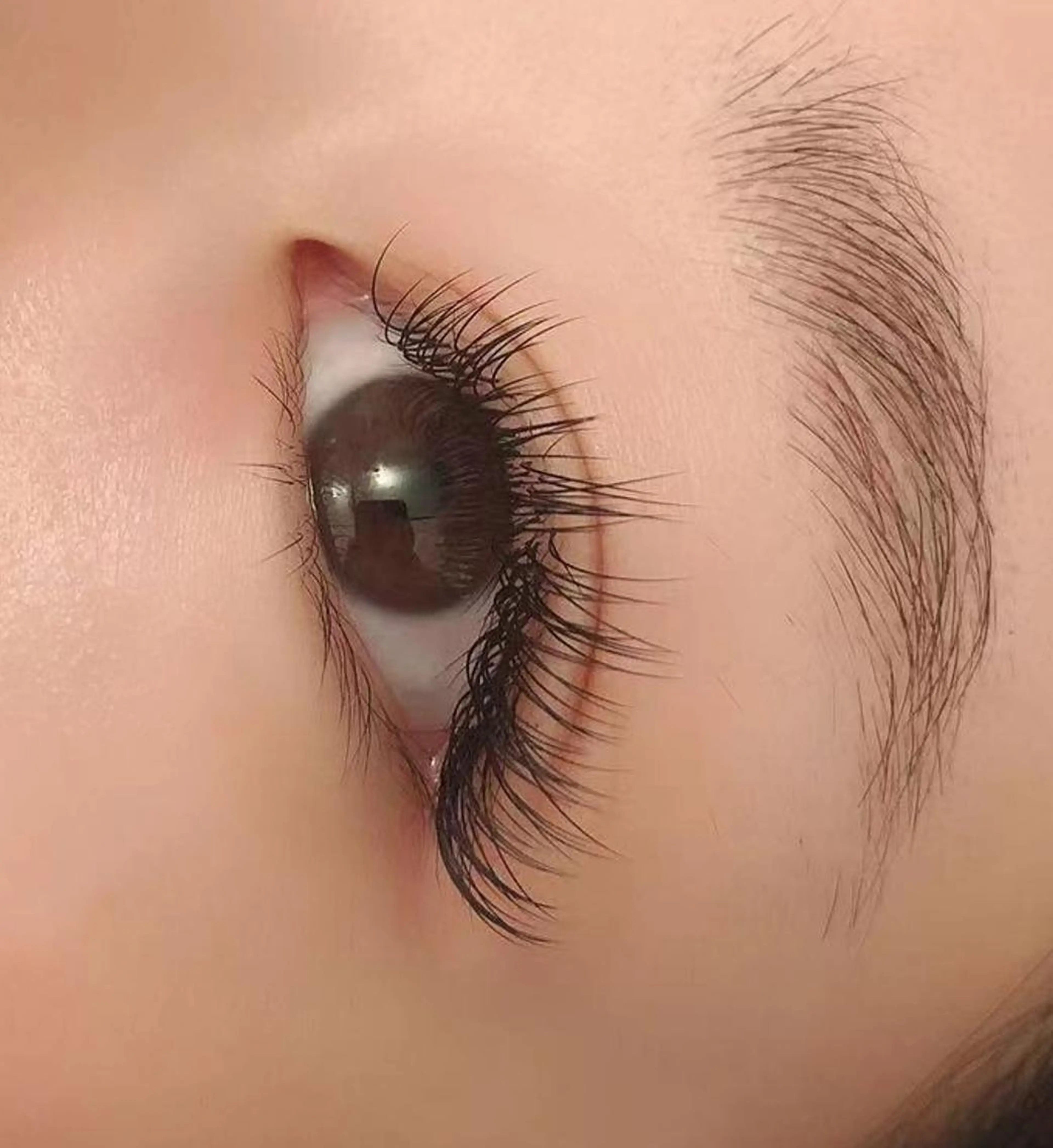 マツエク・マツパ Ali Beauty Salon 新小岩のマツエク・マツパデザイン