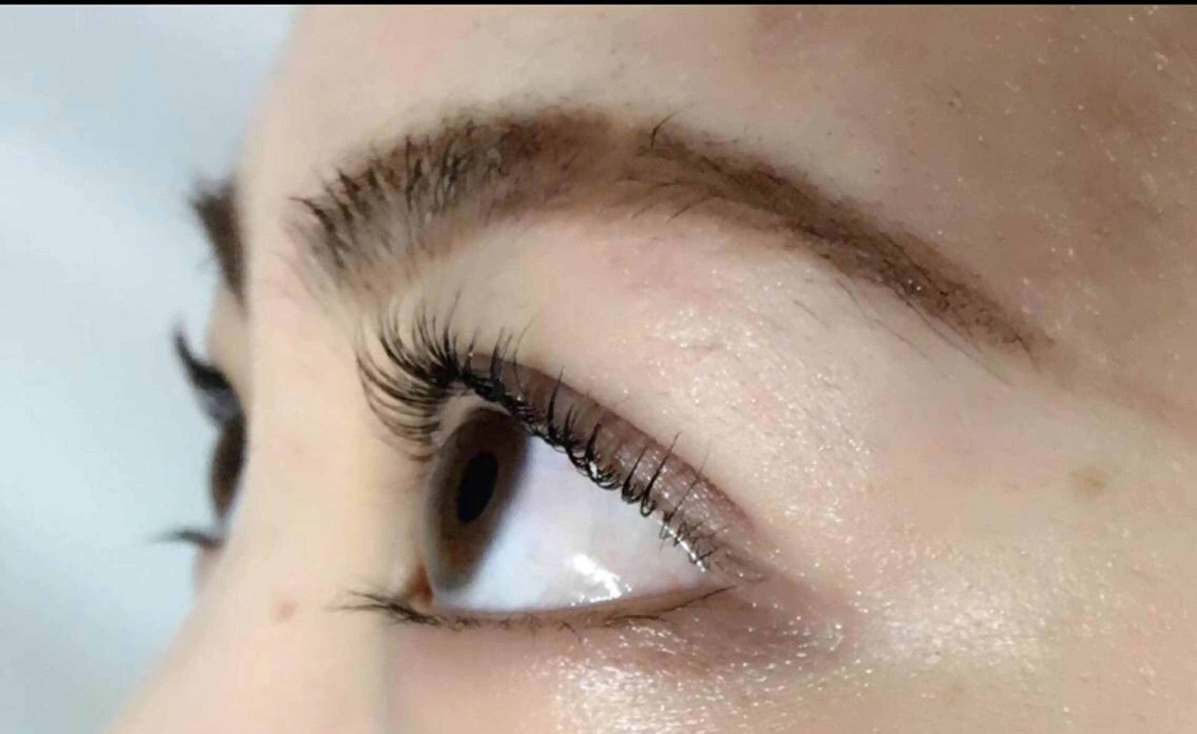 マツエク・マツパ ケラチンラッシュリフト Jカール 一重×まつ毛パーマ メンズアイリスト 黒崎 光俊のマツエク・マツパデザイン