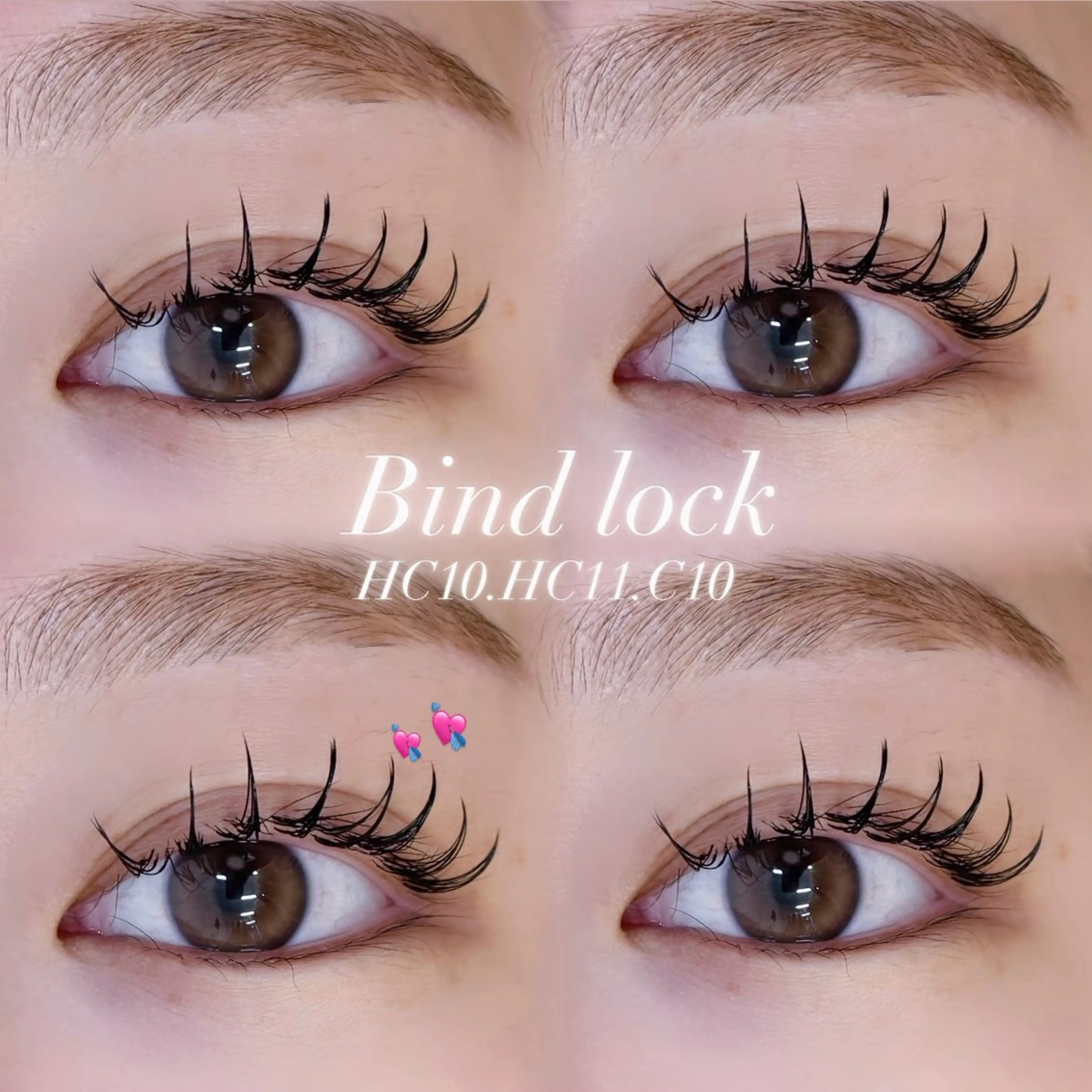 🤍 バインドロック 100束 🤍の写真