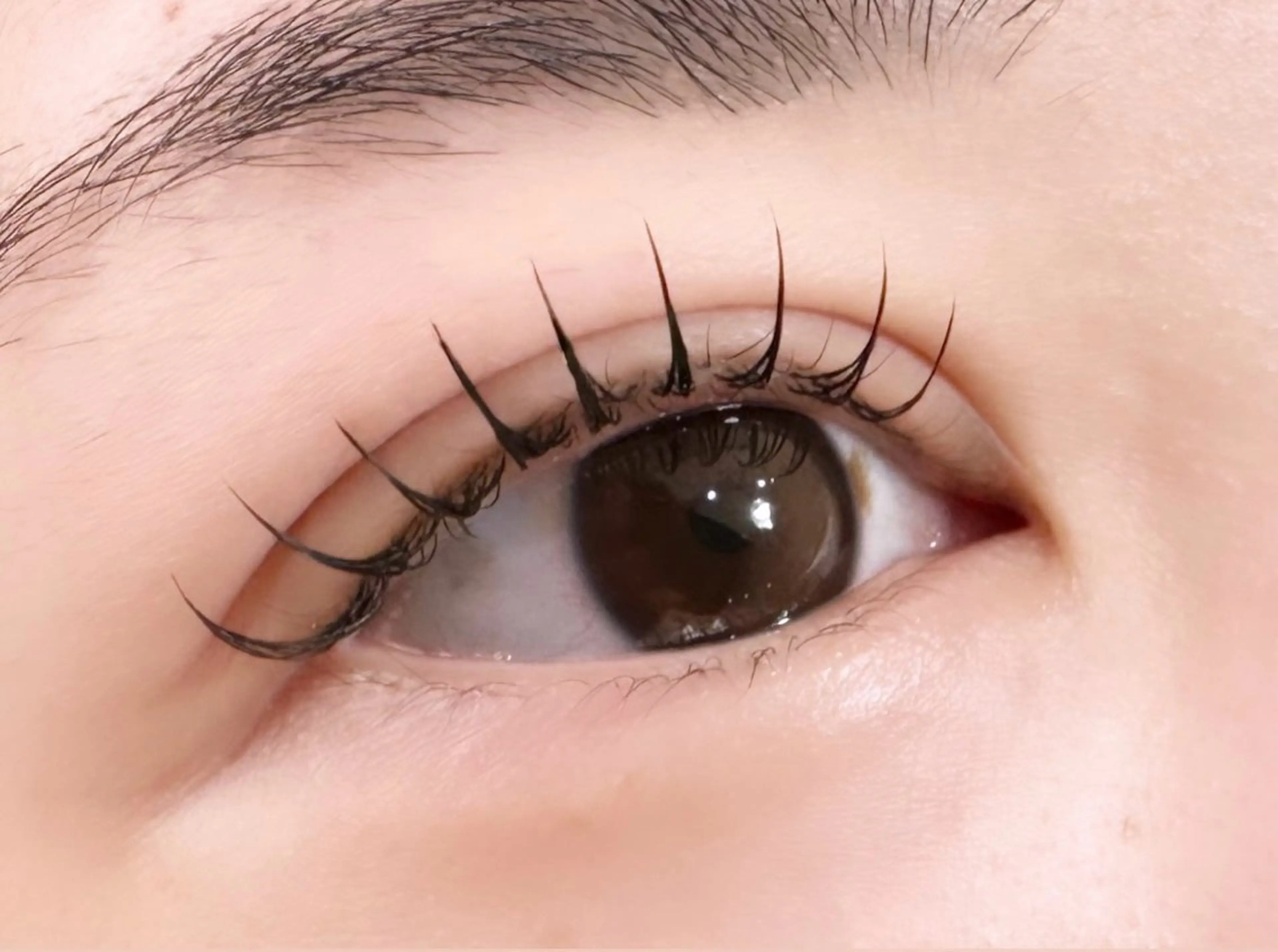 マツエク・マツパ Cカール キュート フラットラッシュ マツエク 川畑🌻 アンジェリカ錦糸町のマツエク・マツパデザイン