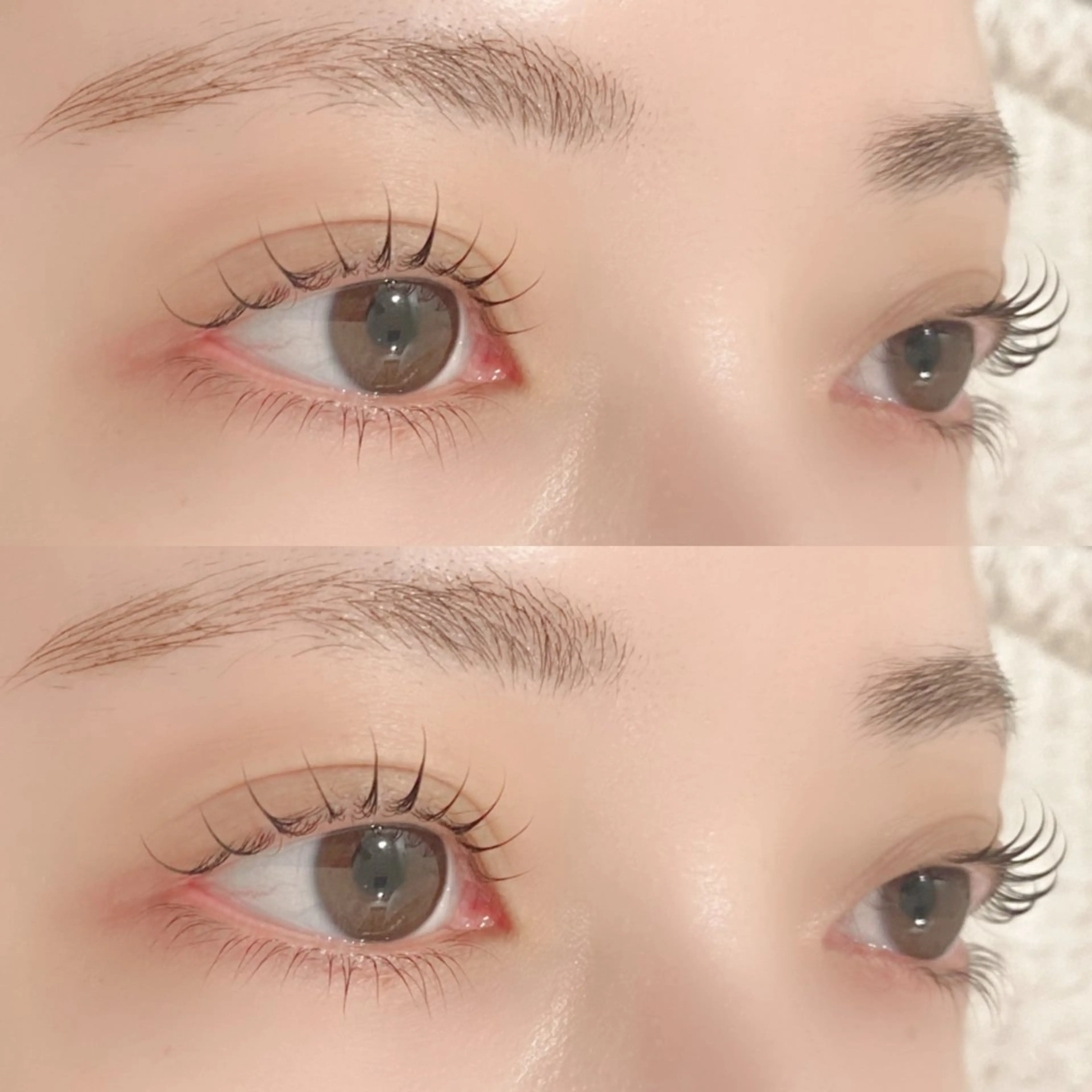 マツエク・マツパ Cカール マツパ Pupu lash(ププラッシュ)所属・🐶Pupu lash🐶のマツエク・マツパデザイン