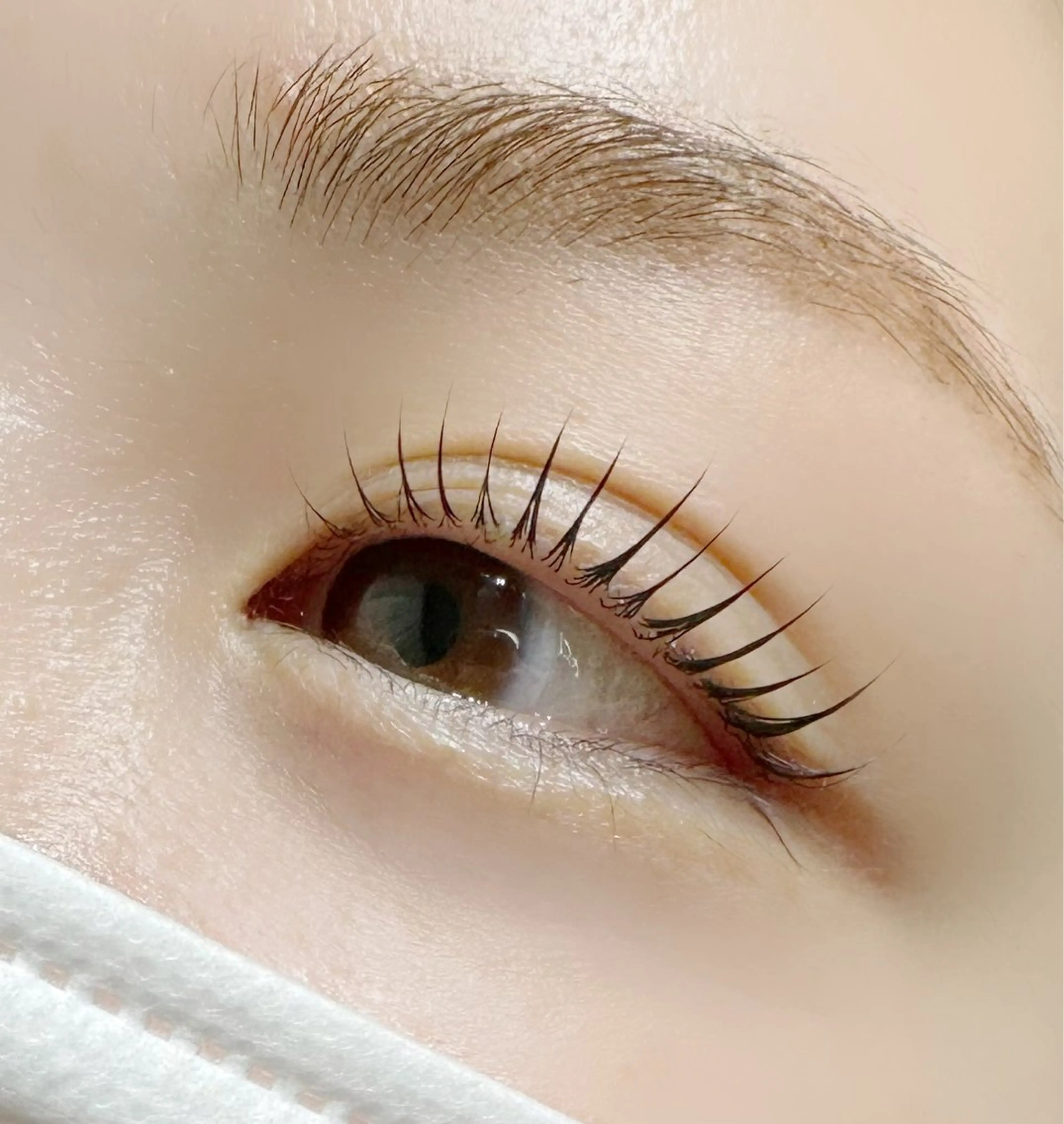 マツエク・マツパ ナチュラル 一重×まつ毛パーマ claire BEAUTY SALON所属・若林 瞳華のマツエク・マツパデザイン