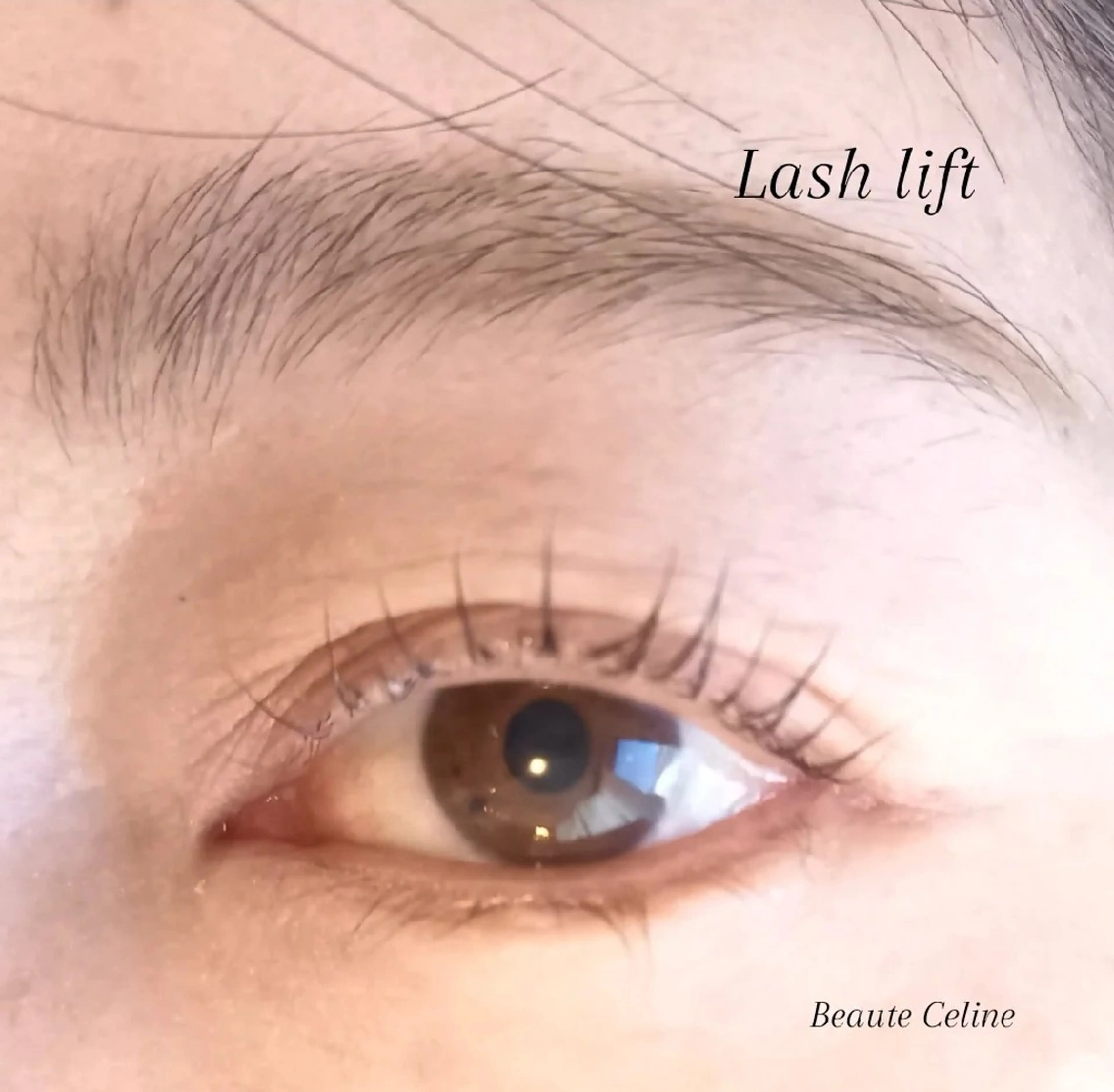 マツエク・マツパ マツパ beaute.celine所属・ぱっちりパーマ🤎 ﾎﾞｰﾃCelineのマツエク・マツパデザイン