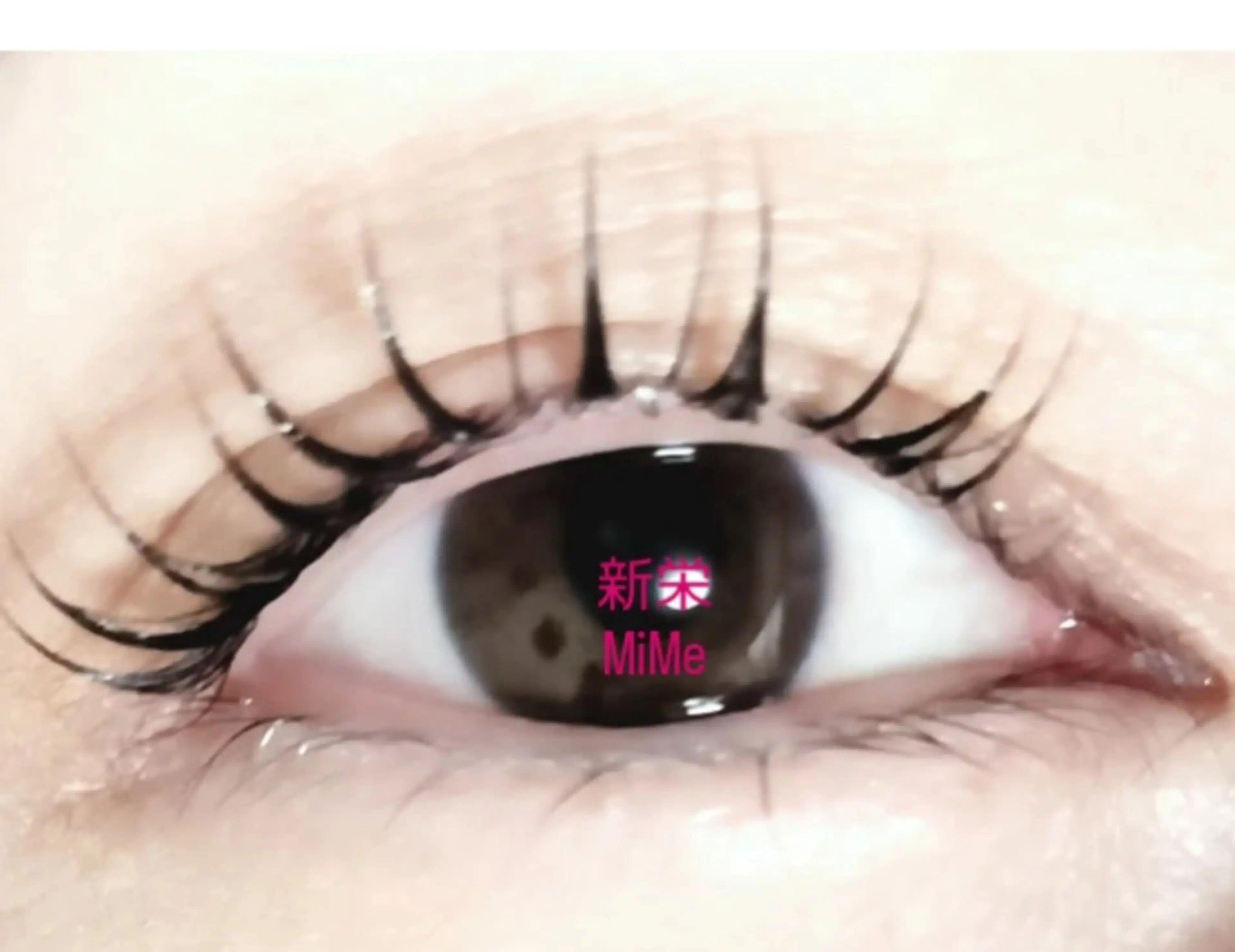 マツエク・マツパ パリジェンヌラッシュリフト ミミー 南のマツエク・マツパデザイン