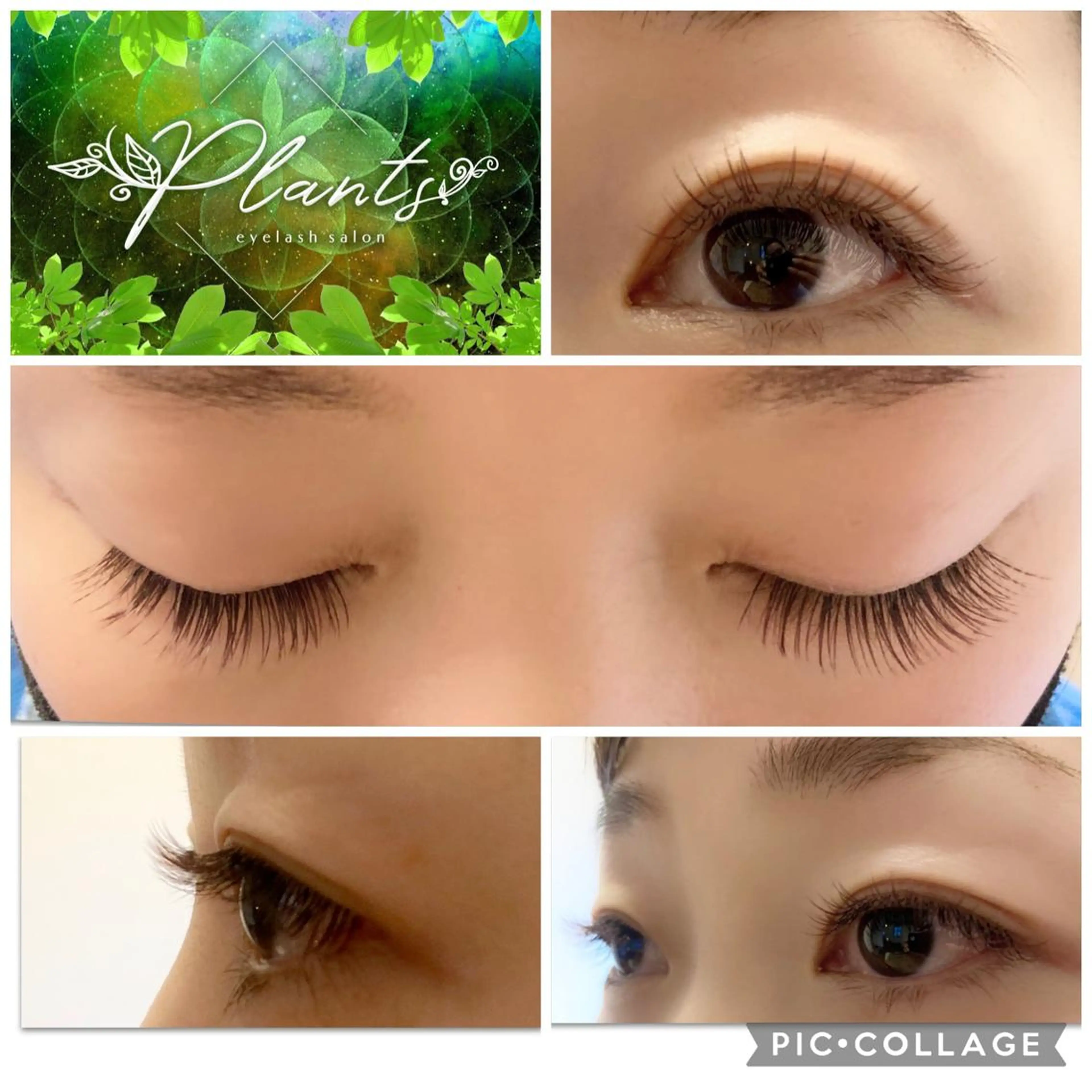 【新色アッシュブラウン】フラットラッシュ (オフ無料)140本 アイシャンプー付☆ カールD.C.J 長さ9〜12mmの写真