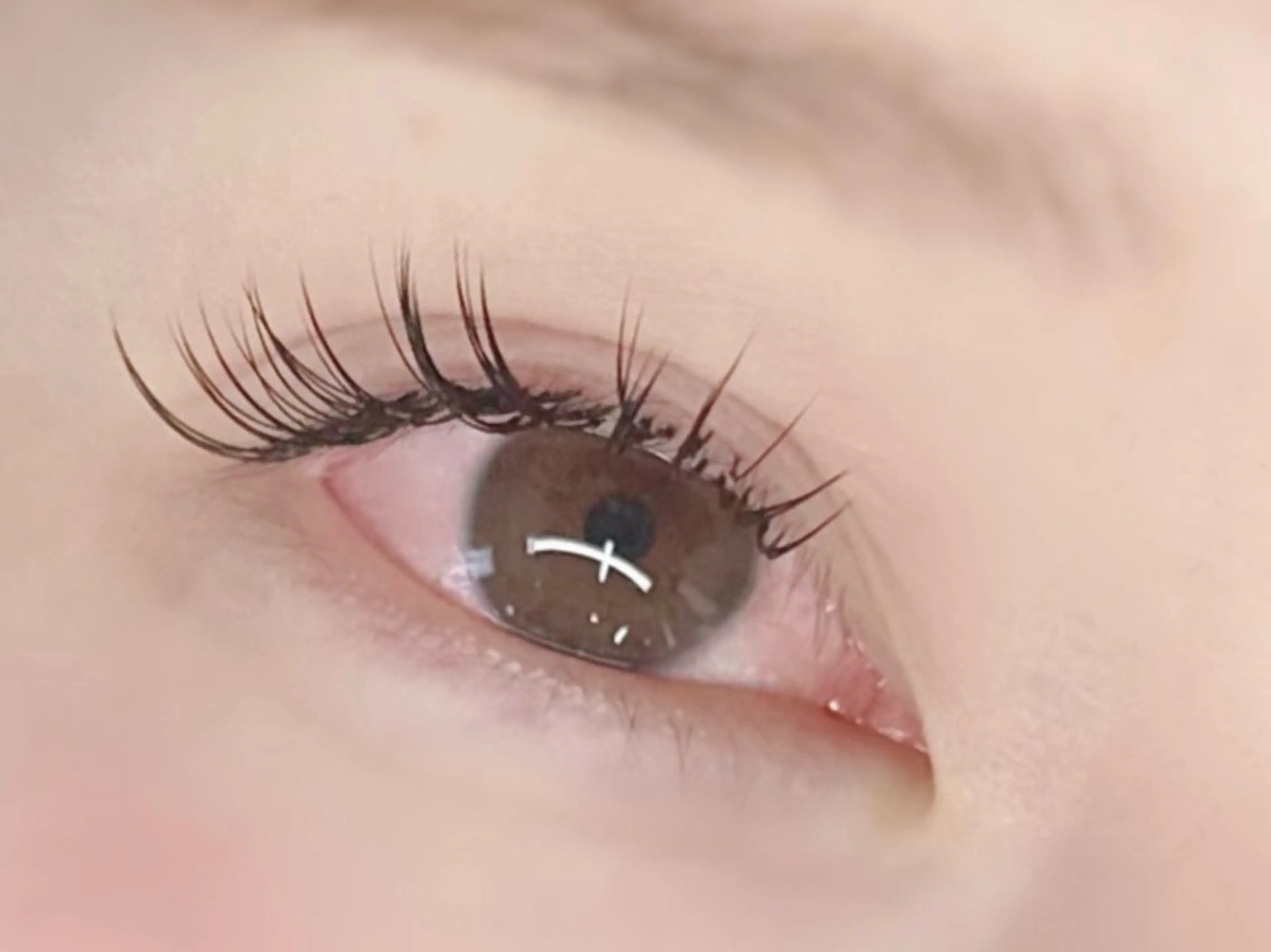 マツエク・マツパ マツエク 【felice】 Takahashiのマツエク・マツパデザイン