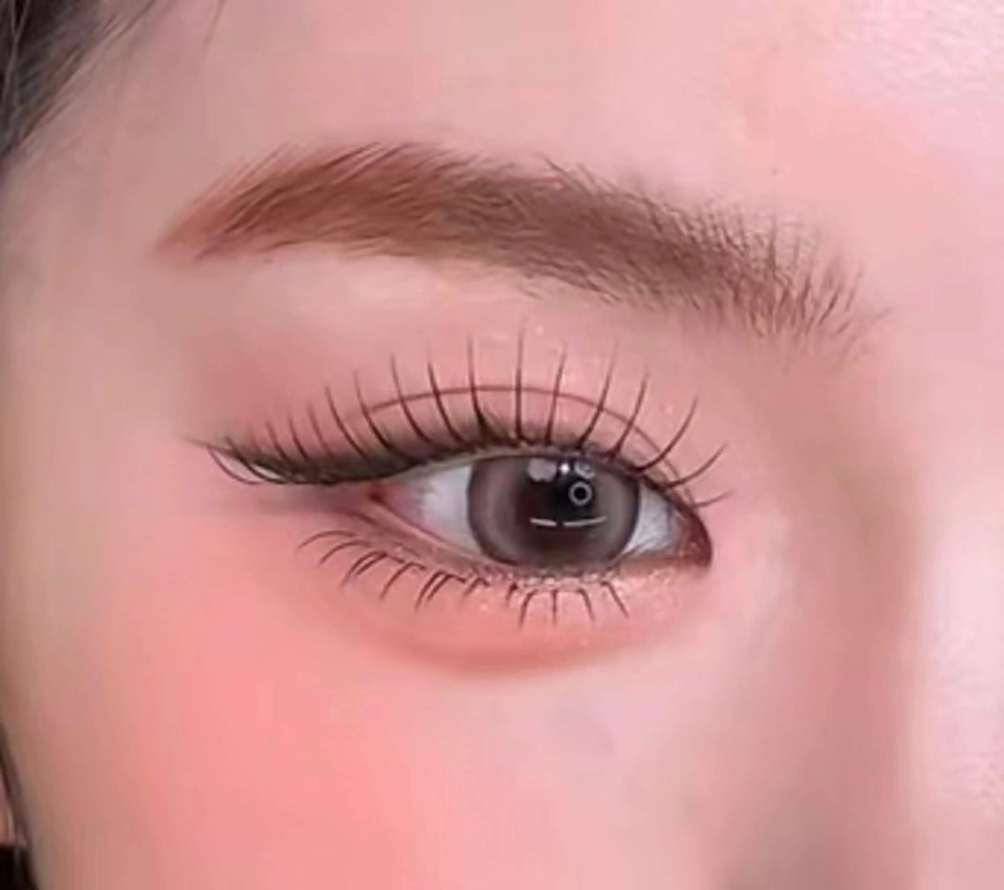 &HealthyアンドヘルシーLED フラットラッシュ 100本+パーマ＋アイシャンプーの写真