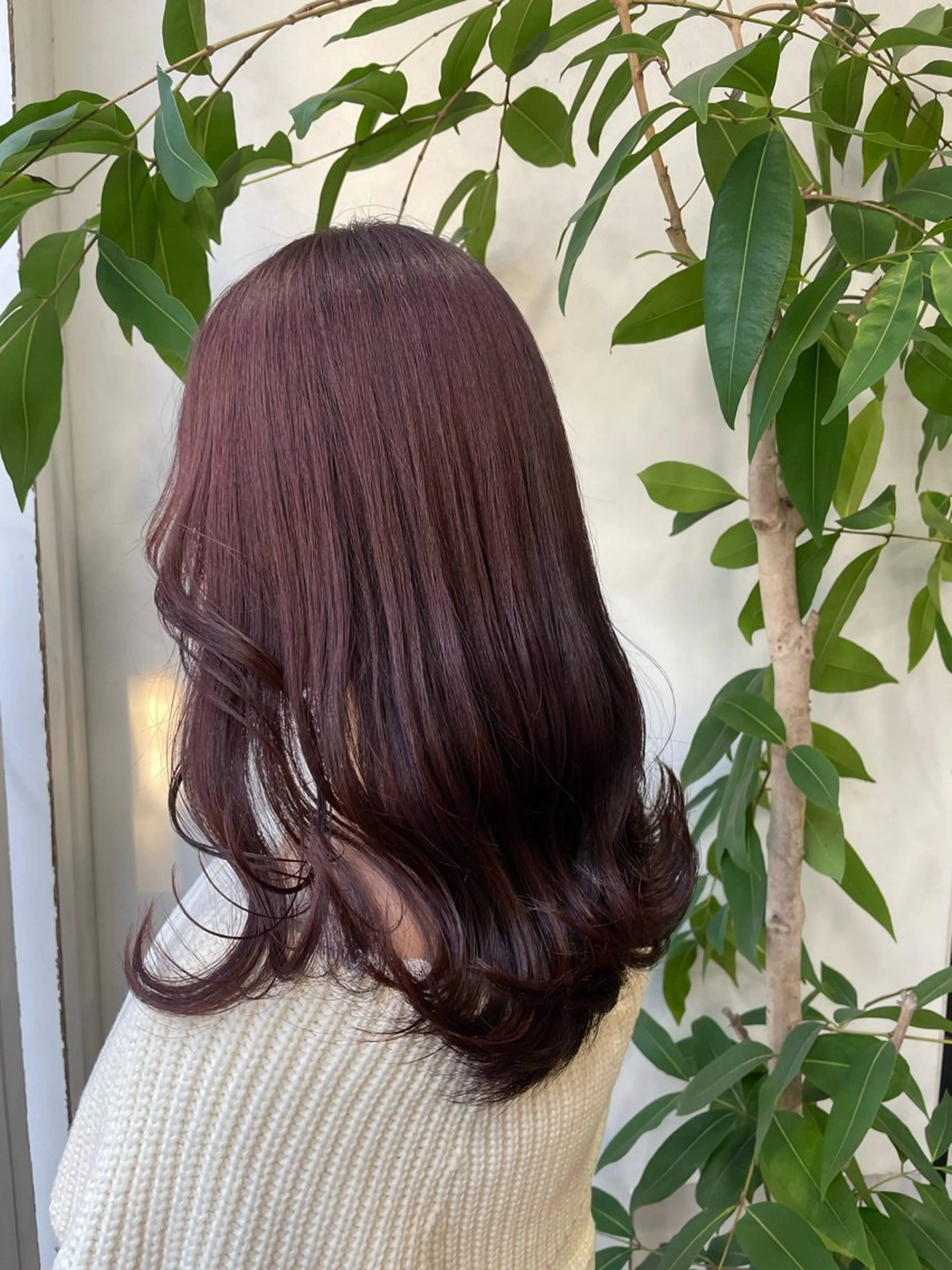 ミディアム カラー インナーカラー 🫧艶髪デザイナー 🫧白石航汰のヘアスタイル