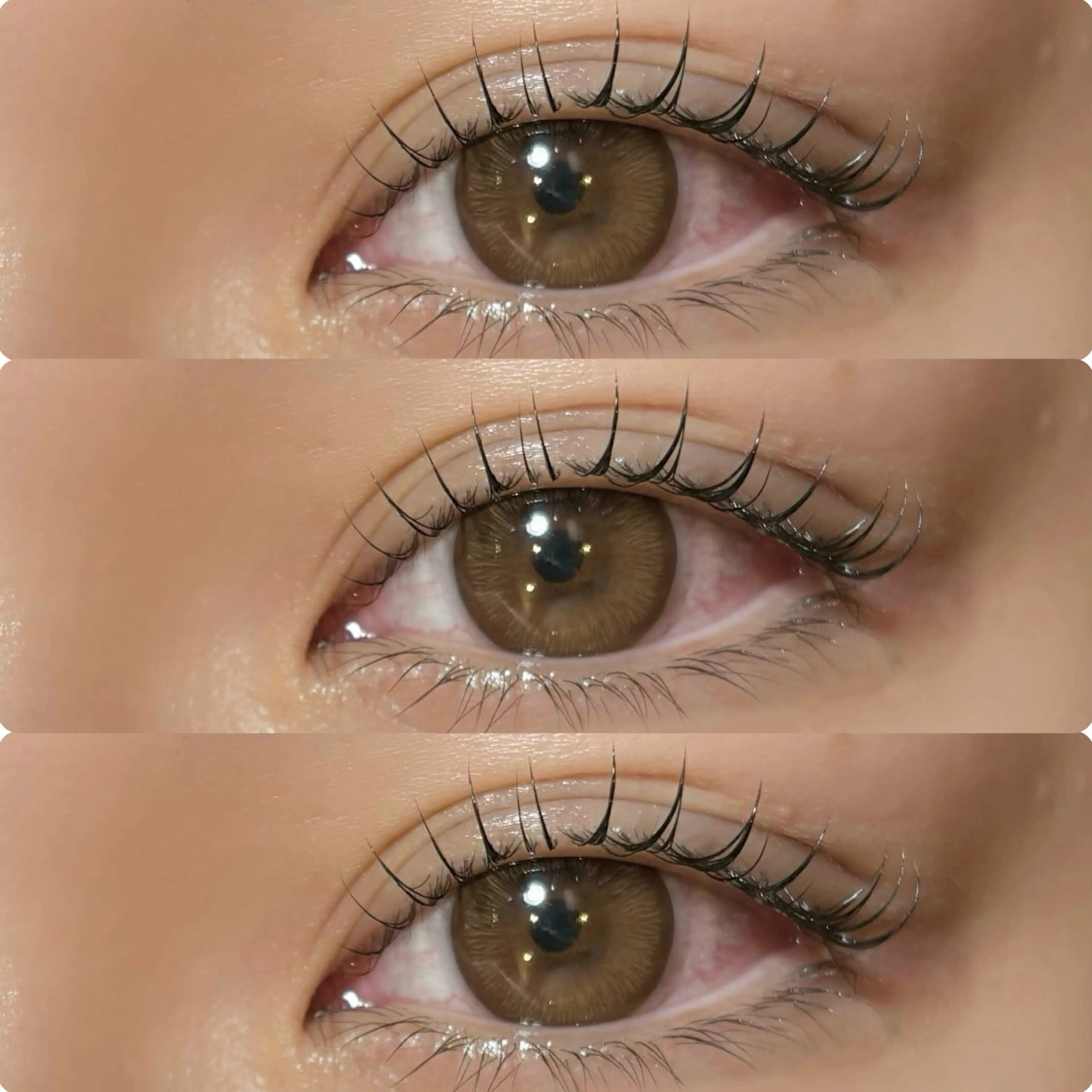 マツエク・マツパ meguru／マツパ ／マツエク／束感のマツエク・マツパデザイン