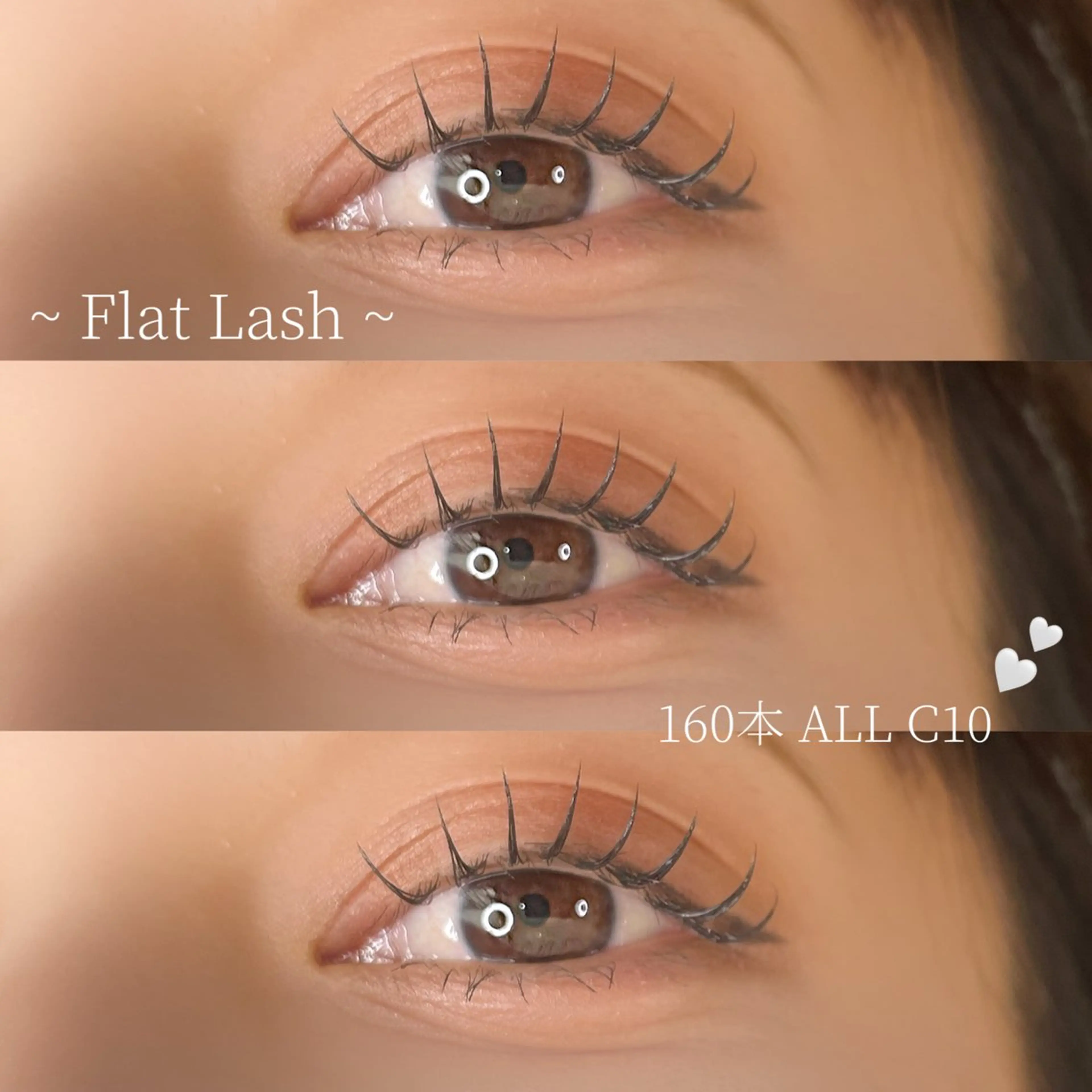 フラットラッシュ90本の写真