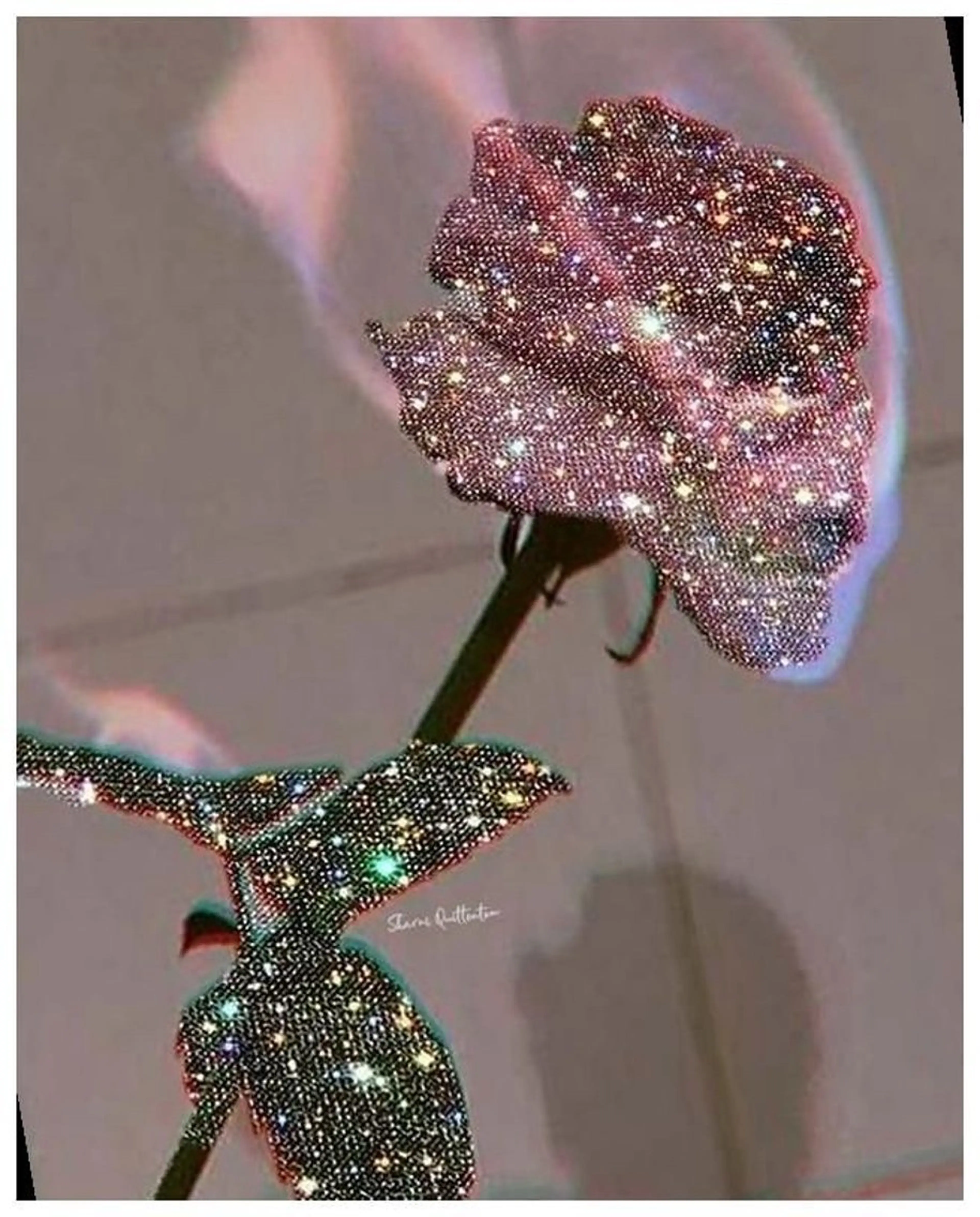 マツエク・マツパ eyelist. mizuki🐈⬛の眉毛・アイブロウイメージ