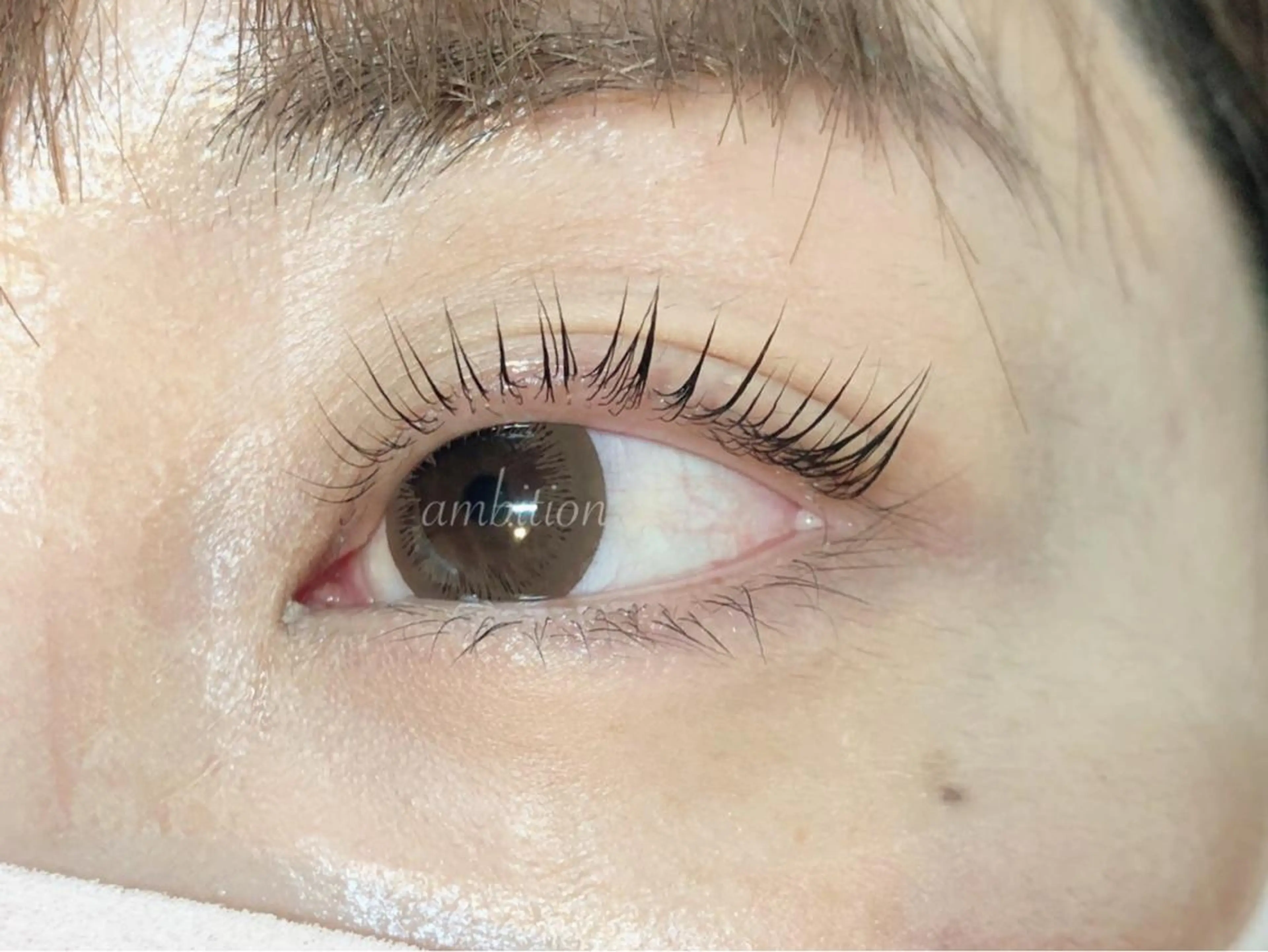 マツエク・マツパ パリジェンヌラッシュリフト デイジーラッシュ 大阪駅前第3ビルのマツエク・マツパデザイン