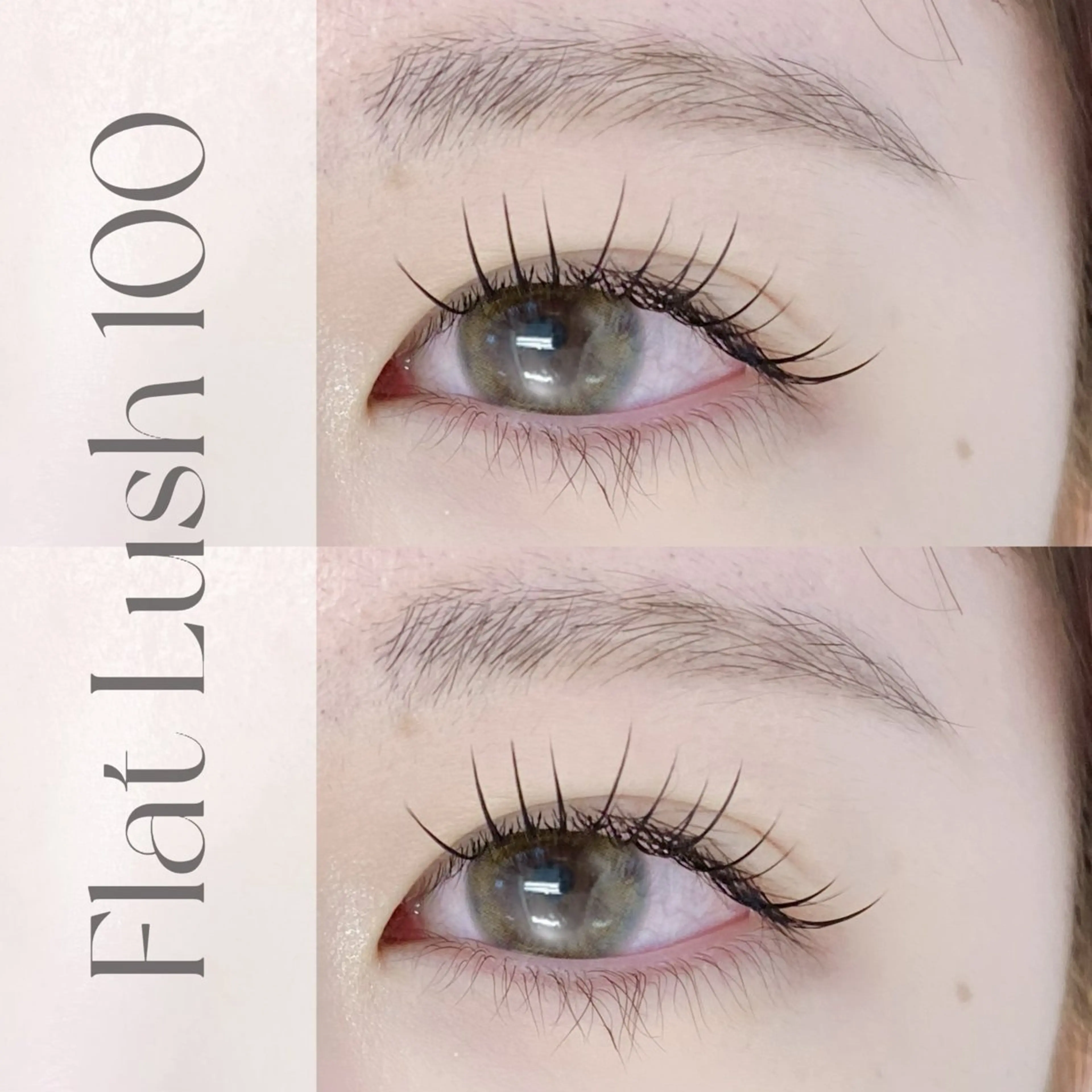 マツエク・マツパ 【EYELA】 えの🐇ೀのマツエク・マツパデザイン