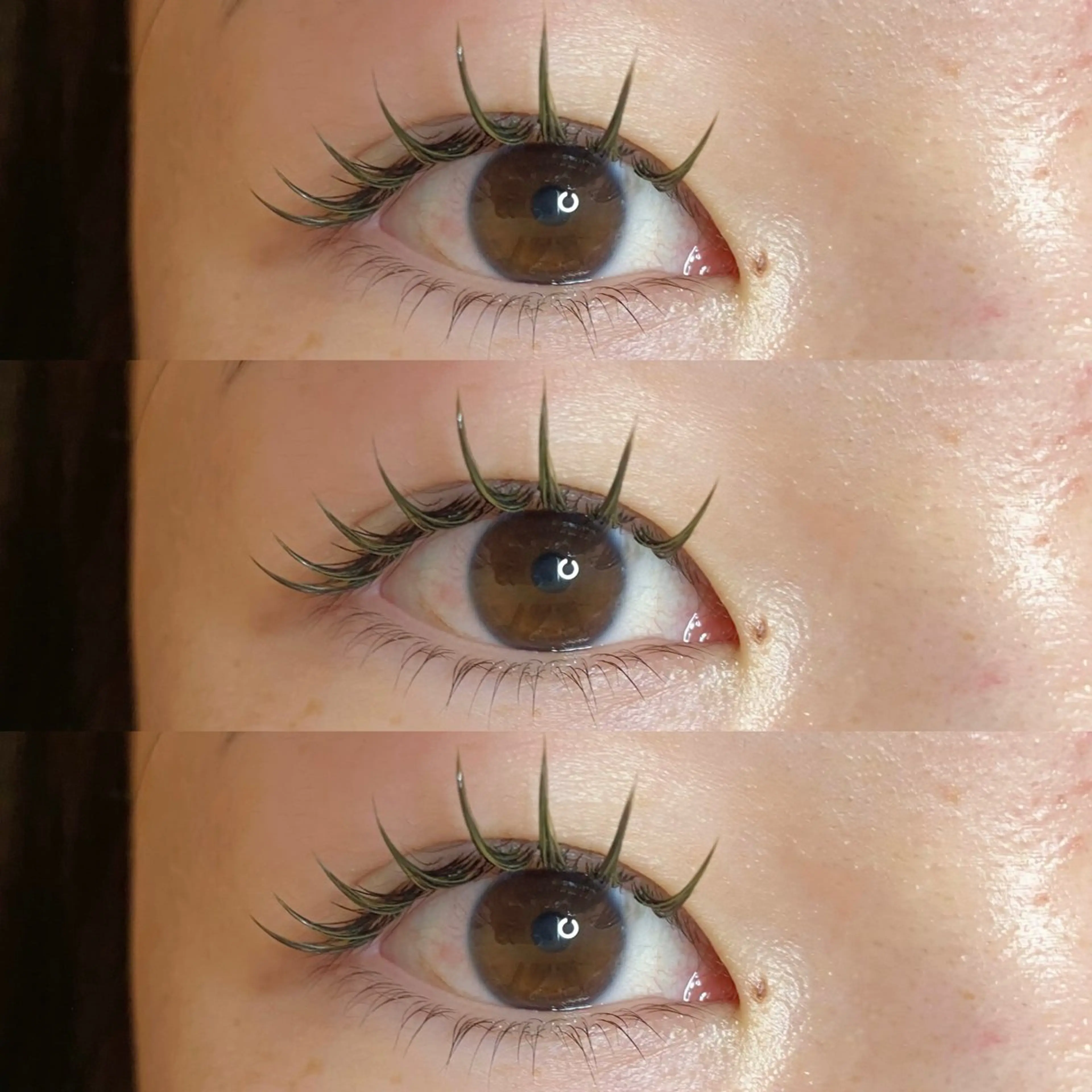 マツエク・マツパ フラットラッシュ マツエク 24 -niji-のマツエク・マツパデザイン