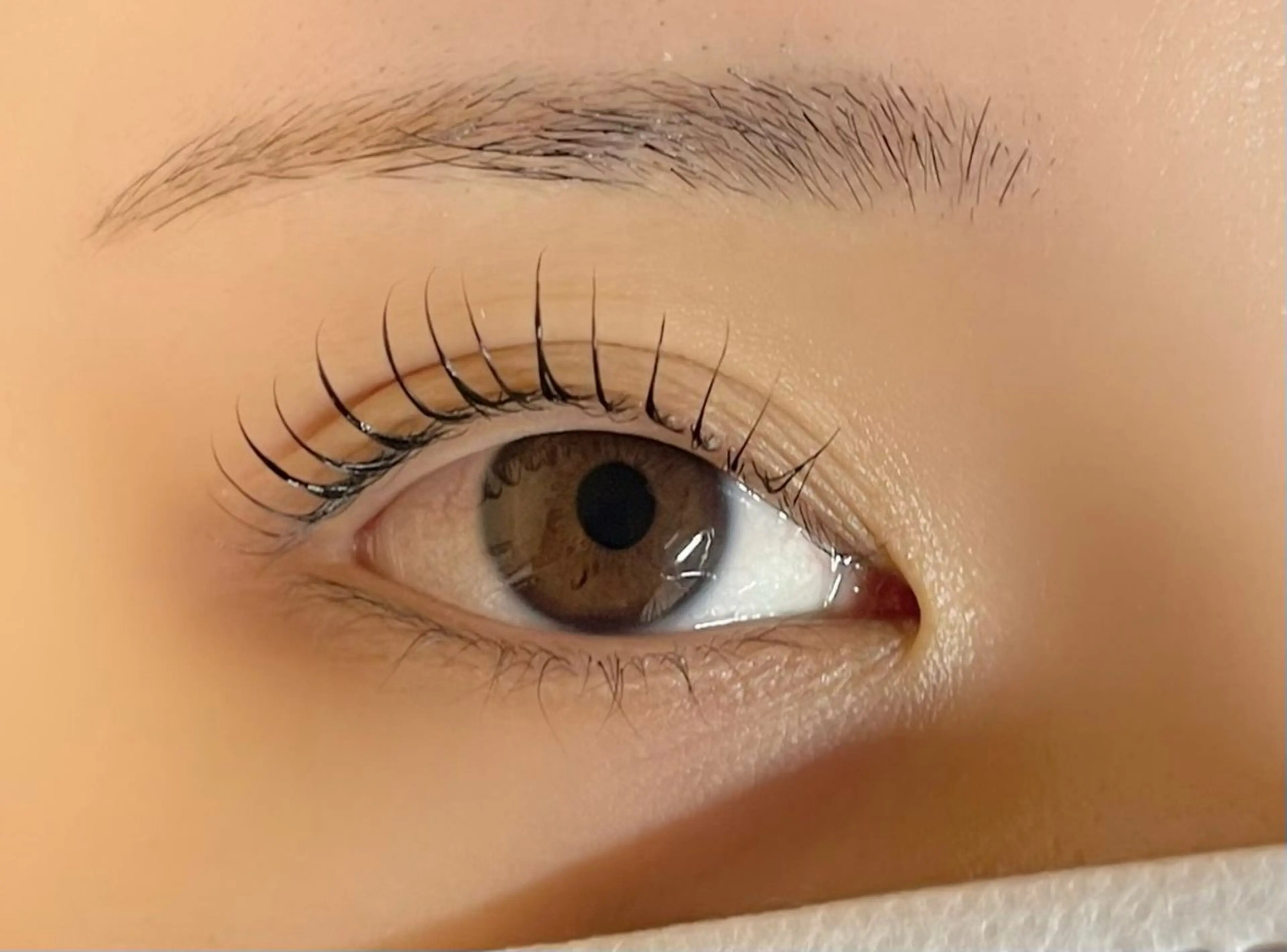 マツエク・マツパ 束感まつ毛 韓国風マツエク ナチュラル 一重×まつ毛パーマ lagoon eyelashおおとり店所属・ラグーンアイラッシュ 鳳店のマツエク・マツパデザイン