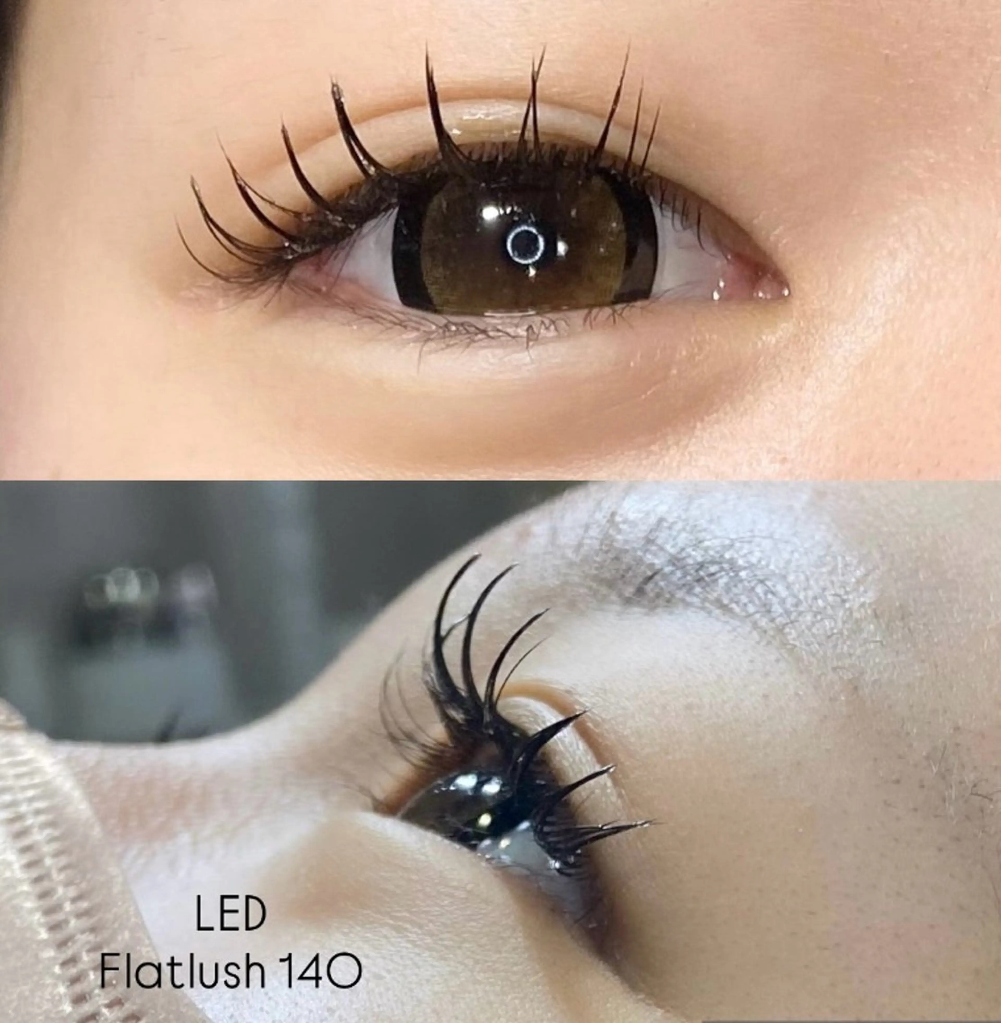 マツエク・マツパ LEDエクステ専門店 Fedis 京橋のマツエク・マツパデザイン