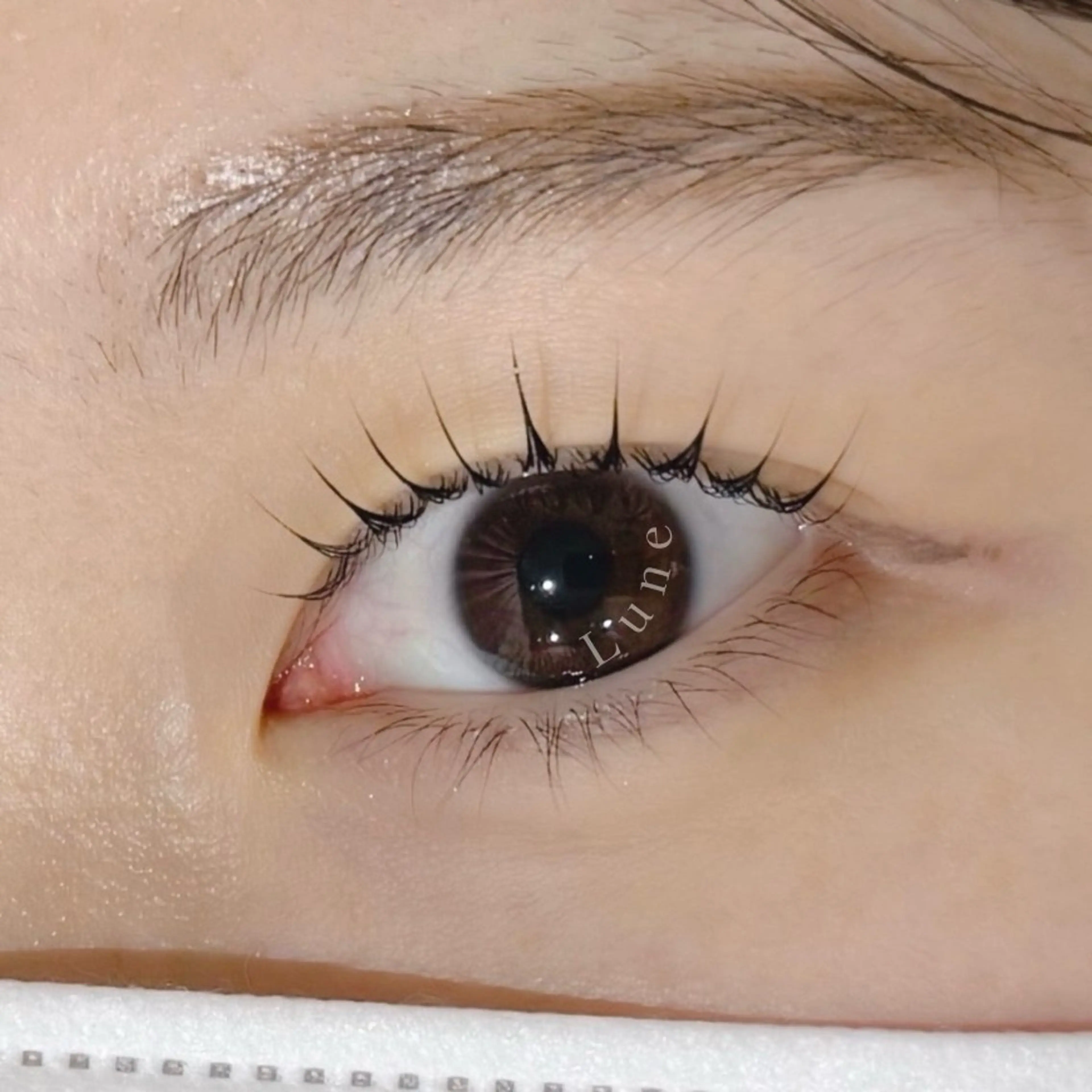 マツエク・マツパ 束感まつ毛 MiliMili bySイワツキ🌿‬のマツエク・マツパデザイン